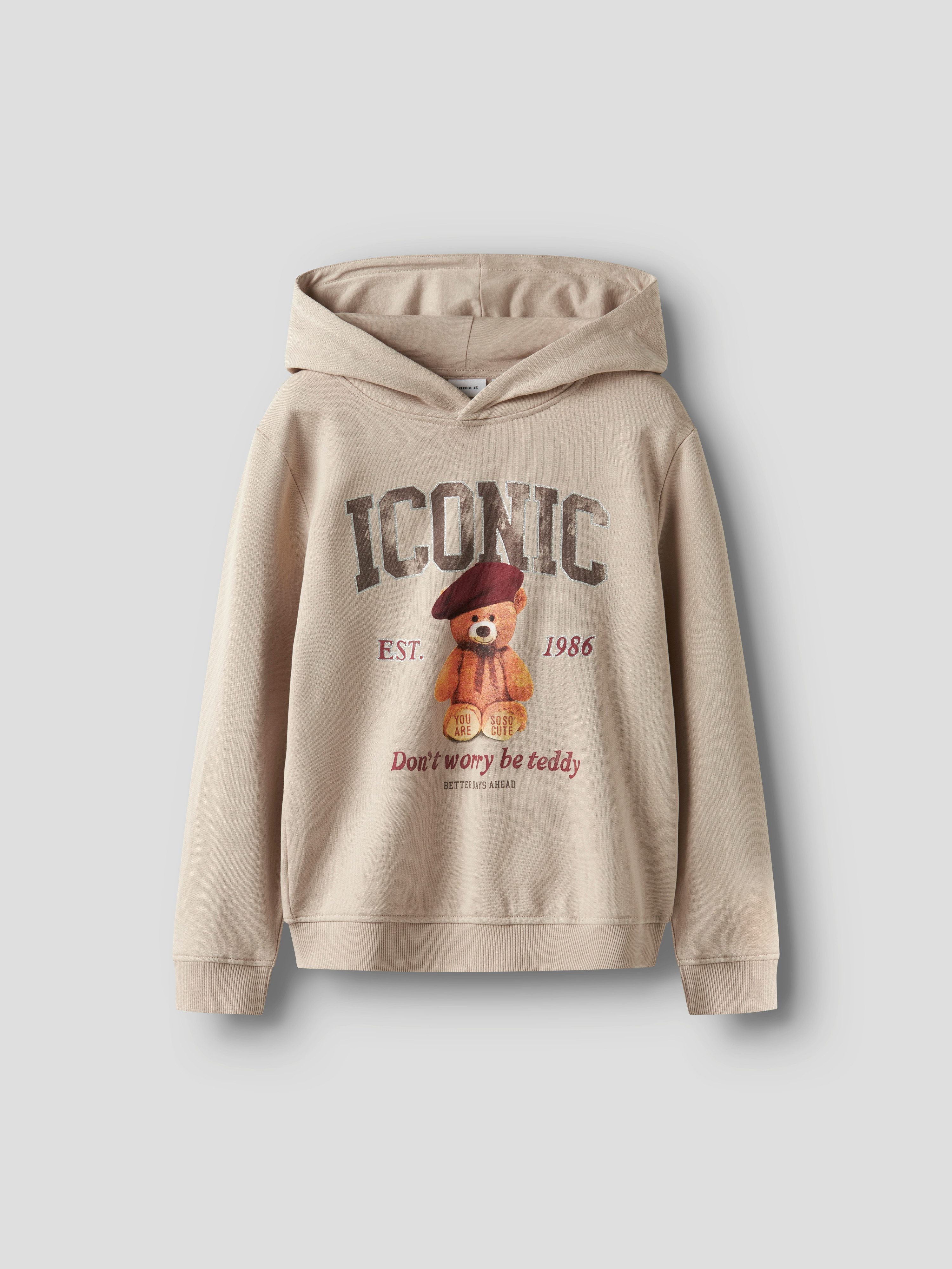 Hoodie NKFRYCCA LS NREG SWEAT WH BRU BOX