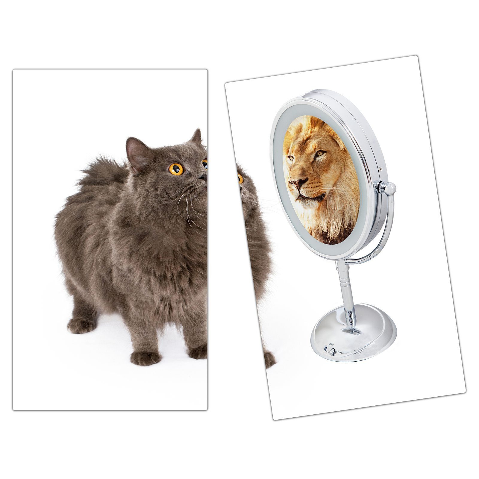 (2 Herd-Abdeckplatte Glas, Katze Primedeco sieht Herdabdeckplatte Löwe Spritzschutz Glas tlg) aus Spiegel, im