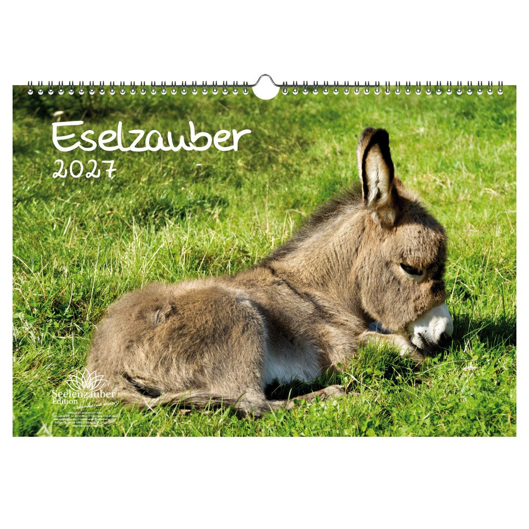 Seelenzauber Eselzauber DIN A3 Kalender für 2027 Esel - Seelenzauber