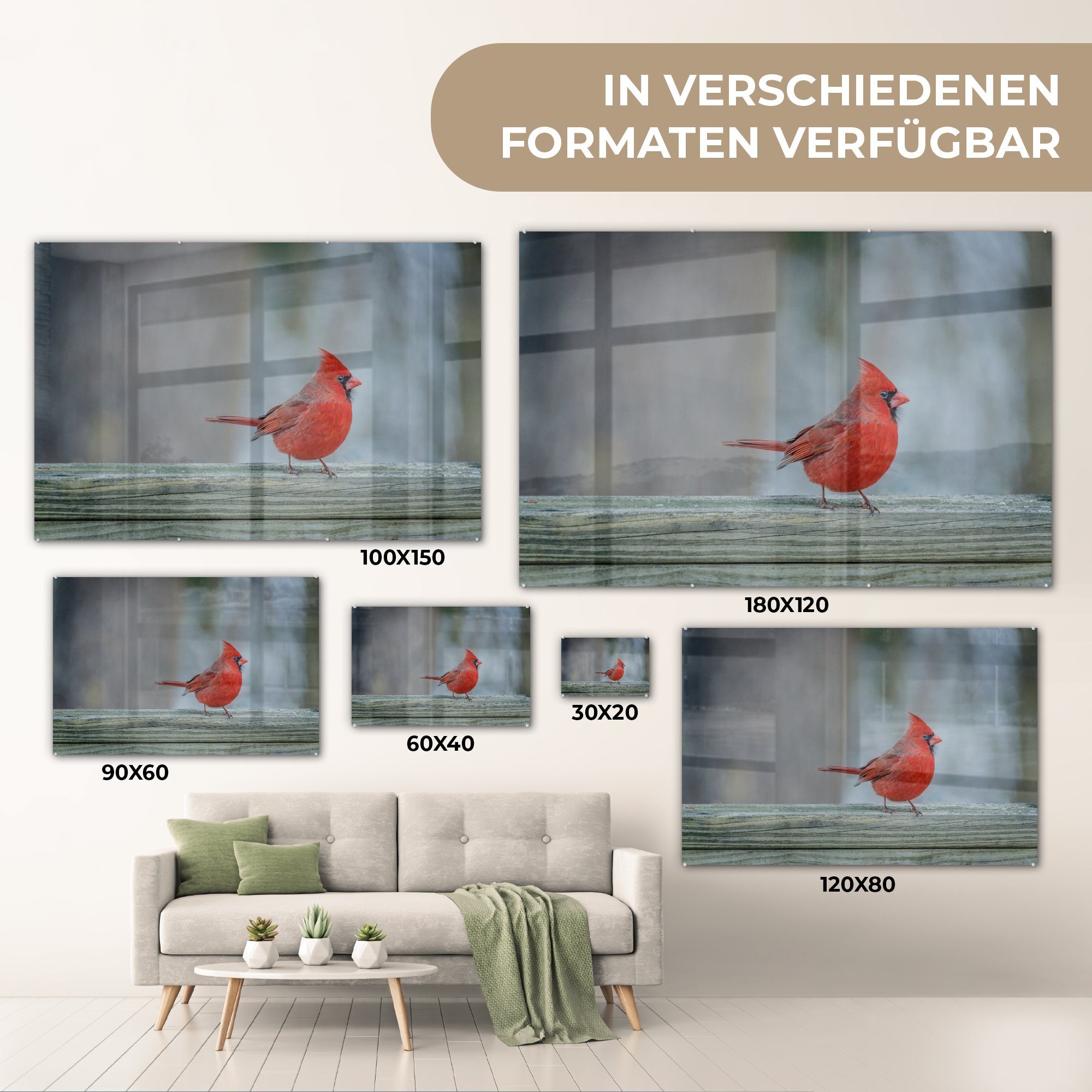 MuchoWow Acrylglasbild Schlafzimmer roter Ein Acrylglasbilder Kardinal auf & Wohnzimmer St), Geländer, einem sitzt (1