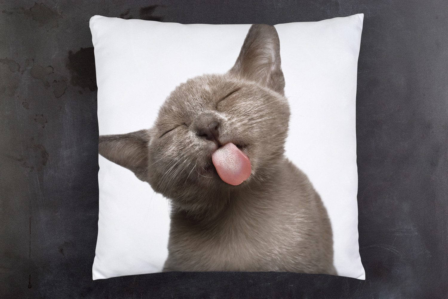 queence Dekokissen Katzenzunge, Kissenhülle mit HD Premium Druck, geruchsneutral, 40x40cm