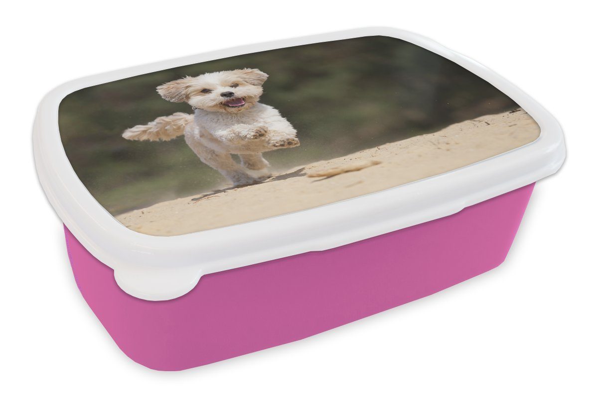 MuchoWow Lunchbox Ein Kunststoff Snackbox, hüpft durch Brotdose (2-tlg), Shih rosa Brotbox Tzu Sand, Erwachsene, Kunststoff, Kinder, Hund gelben Mädchen, den für