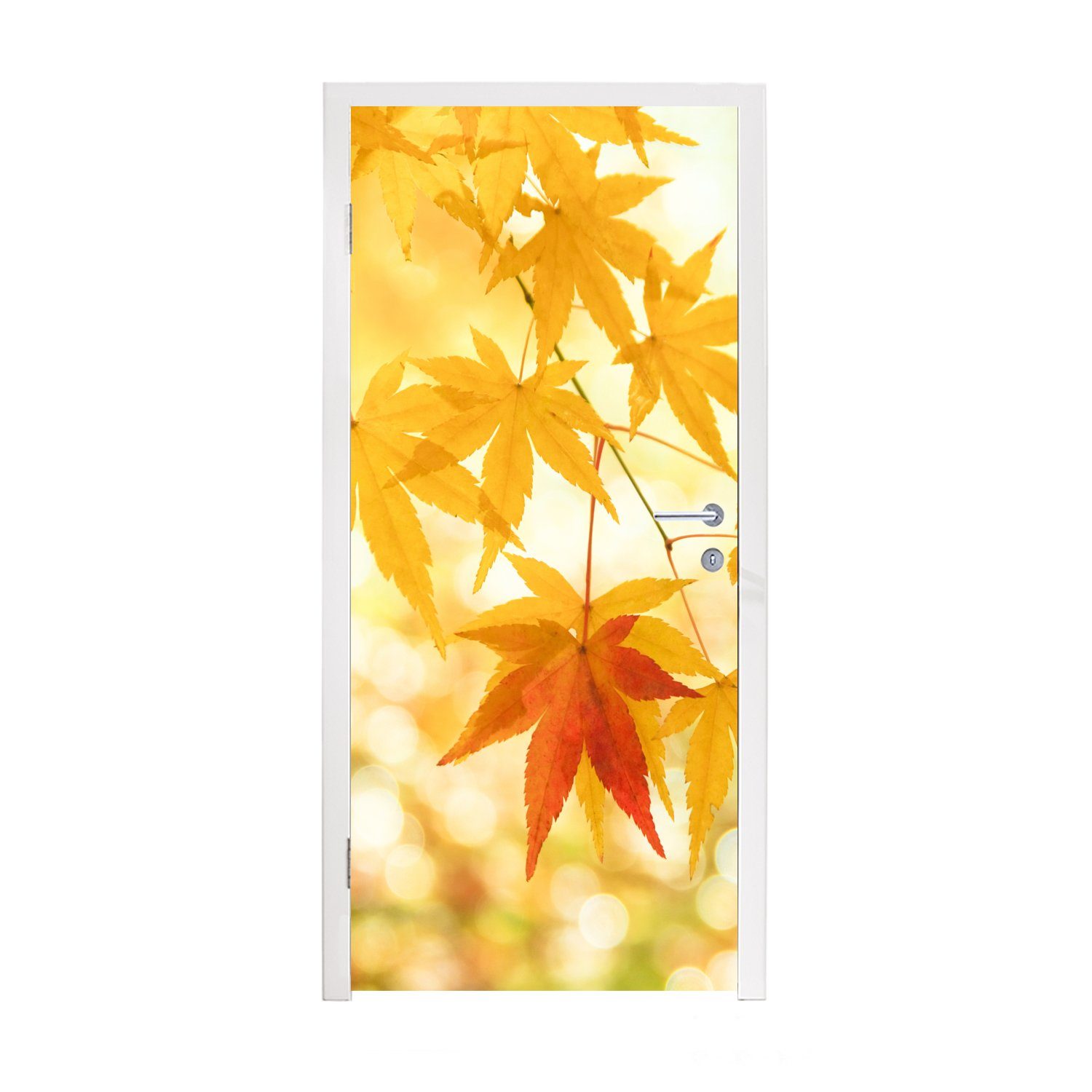 MuchoWow Türtapete Blätter des japanischen Ahorns im Herbst, Matt, bedruckt, (1 St), Fototapete für Tür, Türaufkleber, 75x205 cm