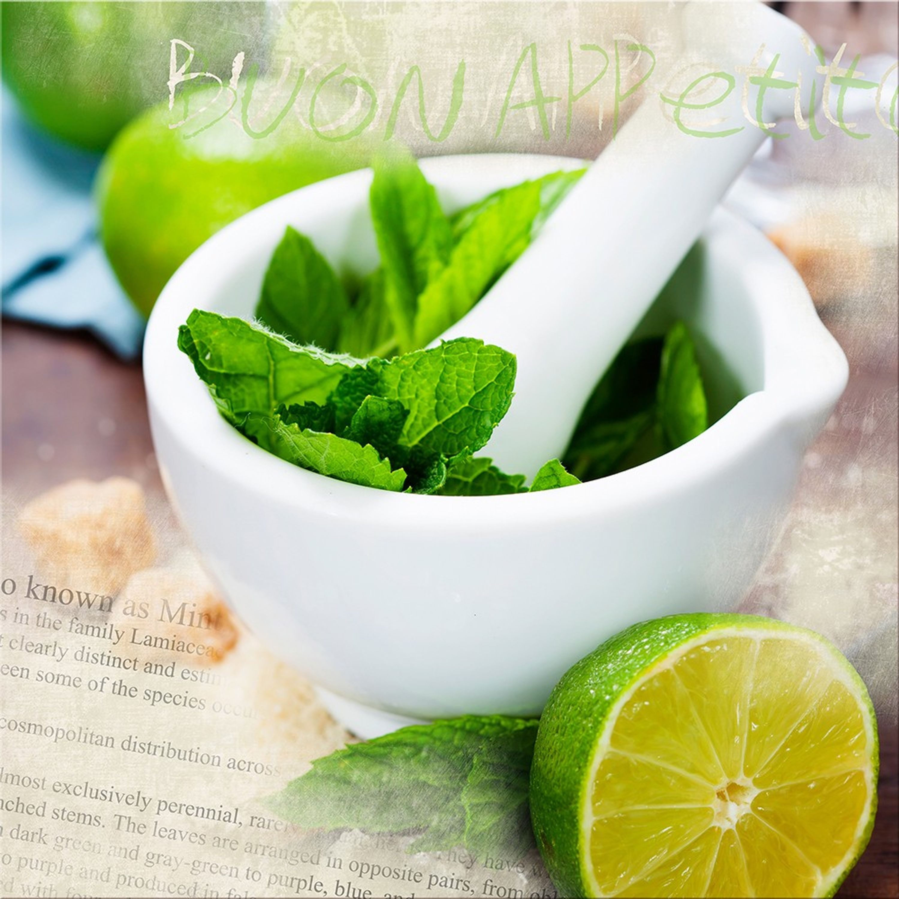 artissimo Deco-Panel Wandbild grün / 30x30cm / Deko Küche modern / Bild / Küchenbild Minze, Küchenbild: Buon Appetito