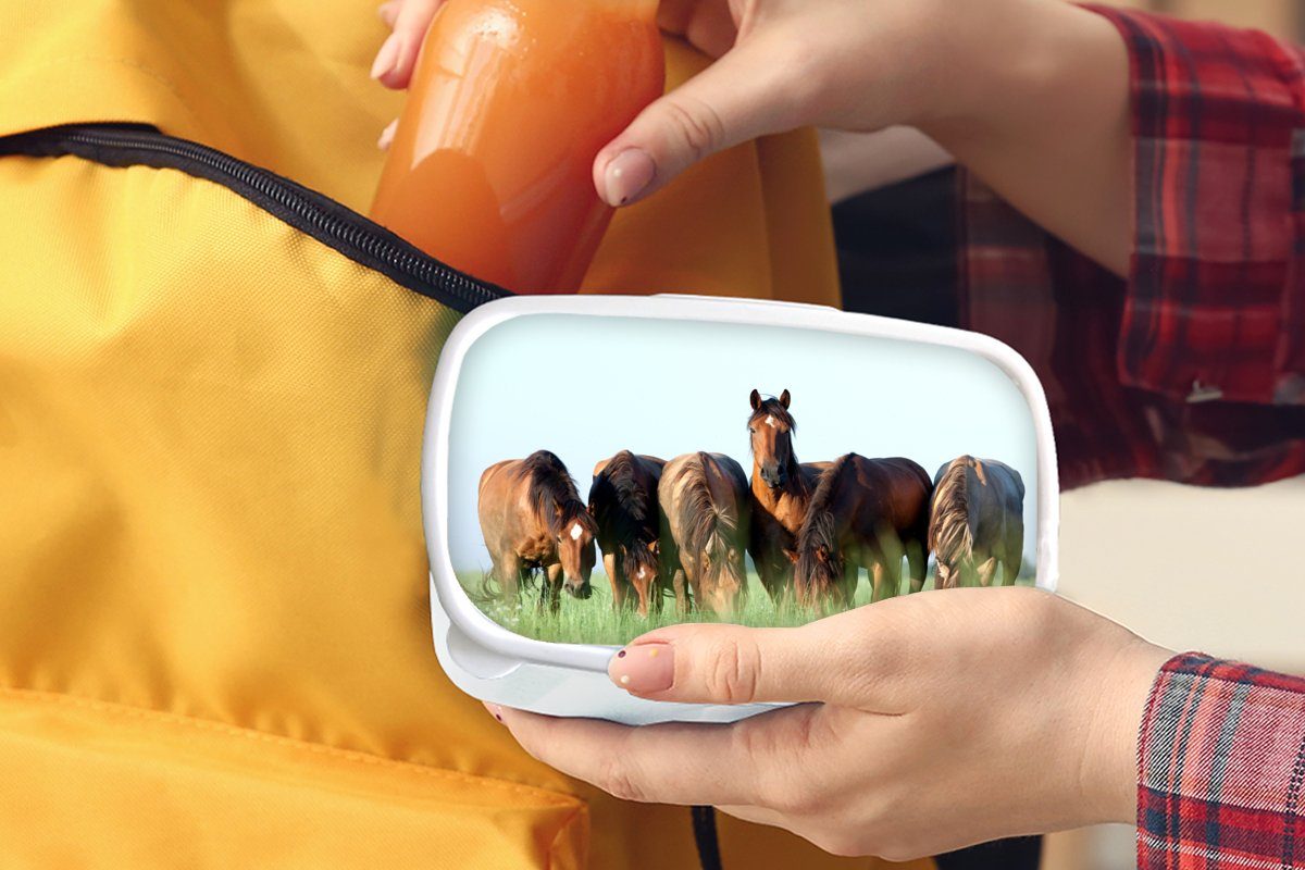 Brotdose, MuchoWow - Kinder Tiere Brotbox - und Jungs für weiß Kunststoff, Lunchbox Erwachsene, und Gras (2-tlg), Mädchen Sommer, für Pferde -