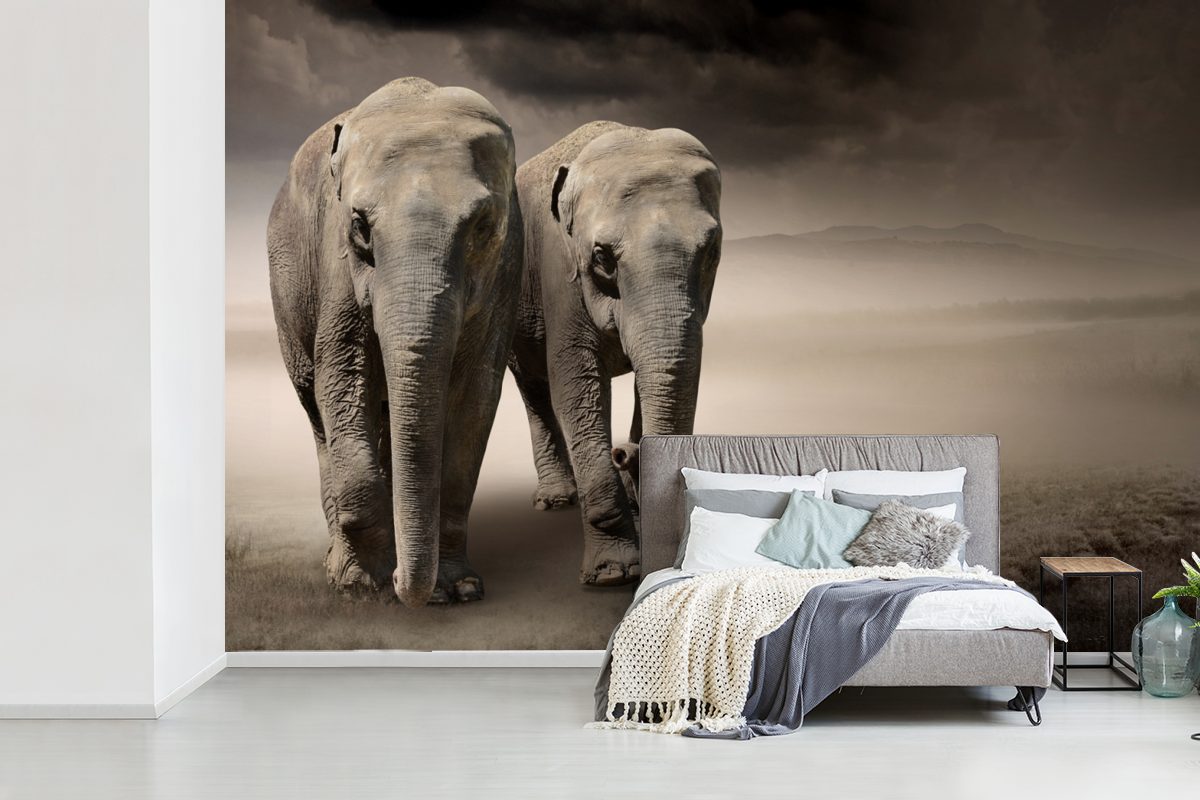 Nebel, Schlafzimmer, für Wohnzimmer, - Wallpaper Kinderzimmer, Fototapete St), (6 - Vinyl bedruckt, Matt, Berg MuchoWow Tapete Elefant