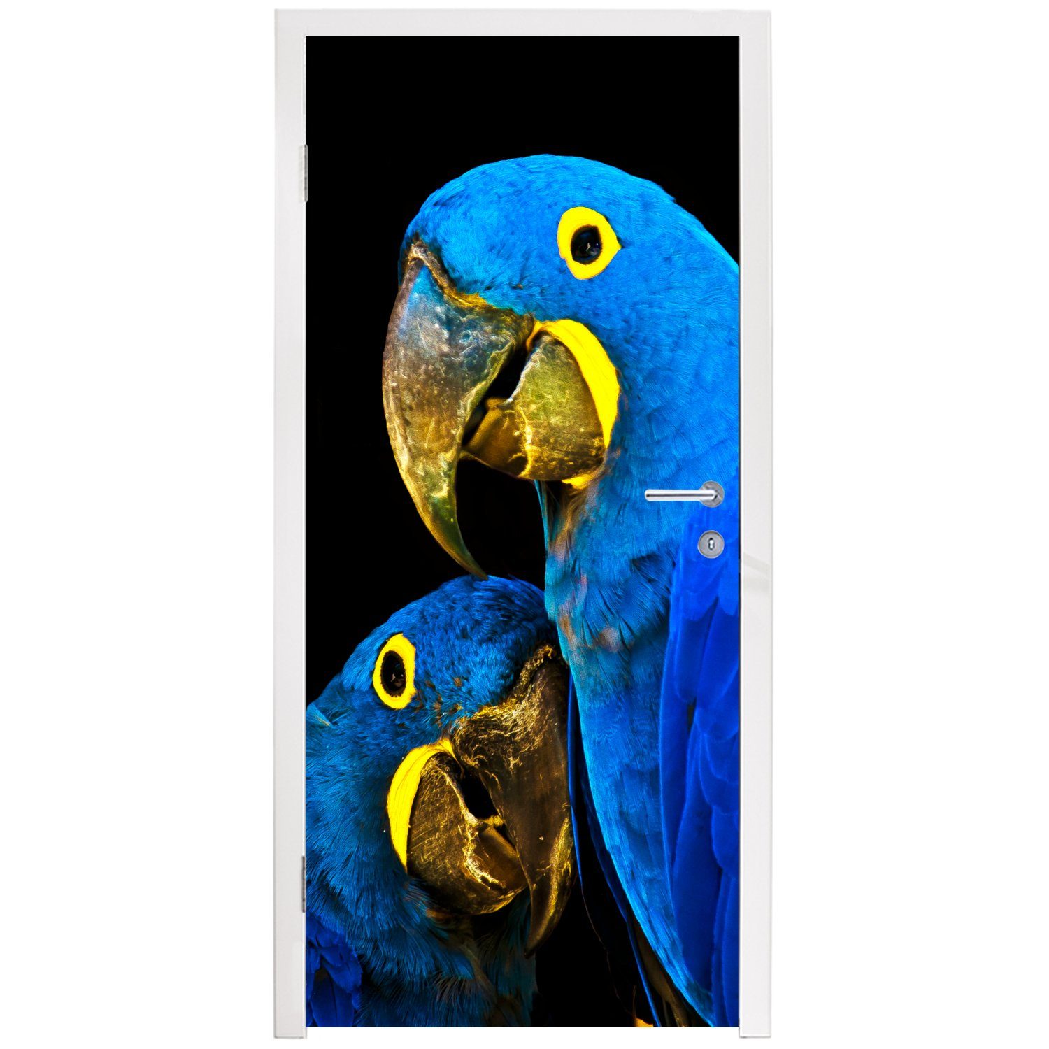 MuchoWow Türtapete Papagei - Blau, - Matt, 75x205 - Fototapete cm Tür, Federn für (1 Türaufkleber, St), Vogel bedruckt