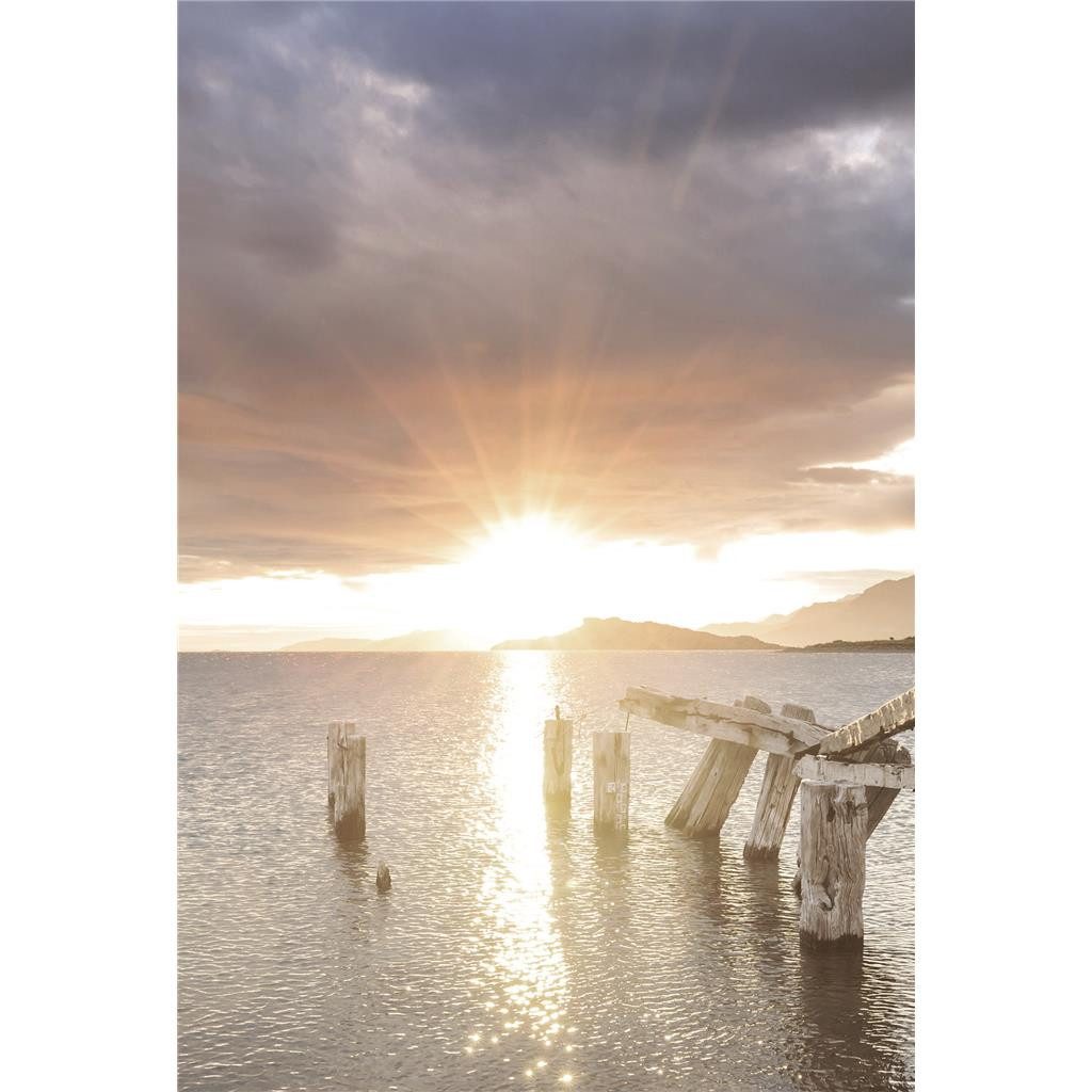 Skorpion Grußkarten Trauer  Beileid  Kondolenz - Trauerkarte im Format 11,5 x 17