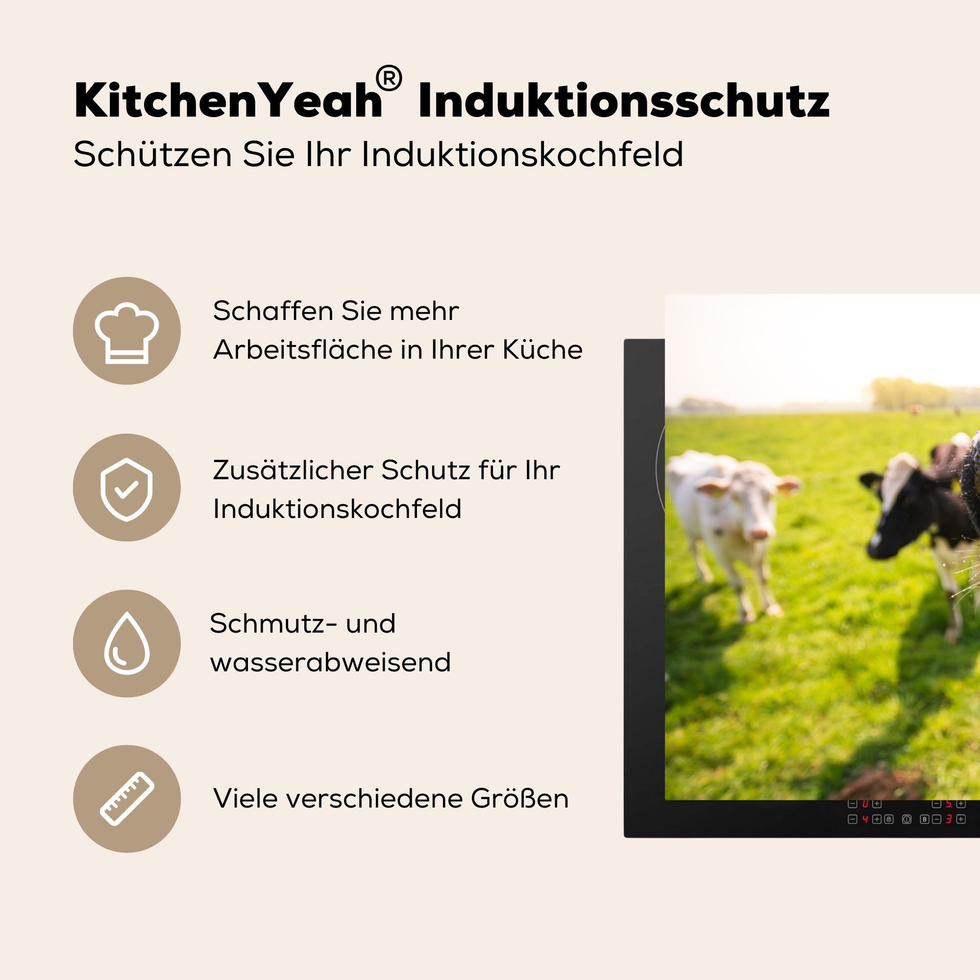 küche, Induktionskochfeld Vinyl, Ceranfeldabdeckung - Herdblende-/Abdeckplatte - die cm, Wiese, (1 Zunge für Schutz 81x52 MuchoWow Kühe tlg),