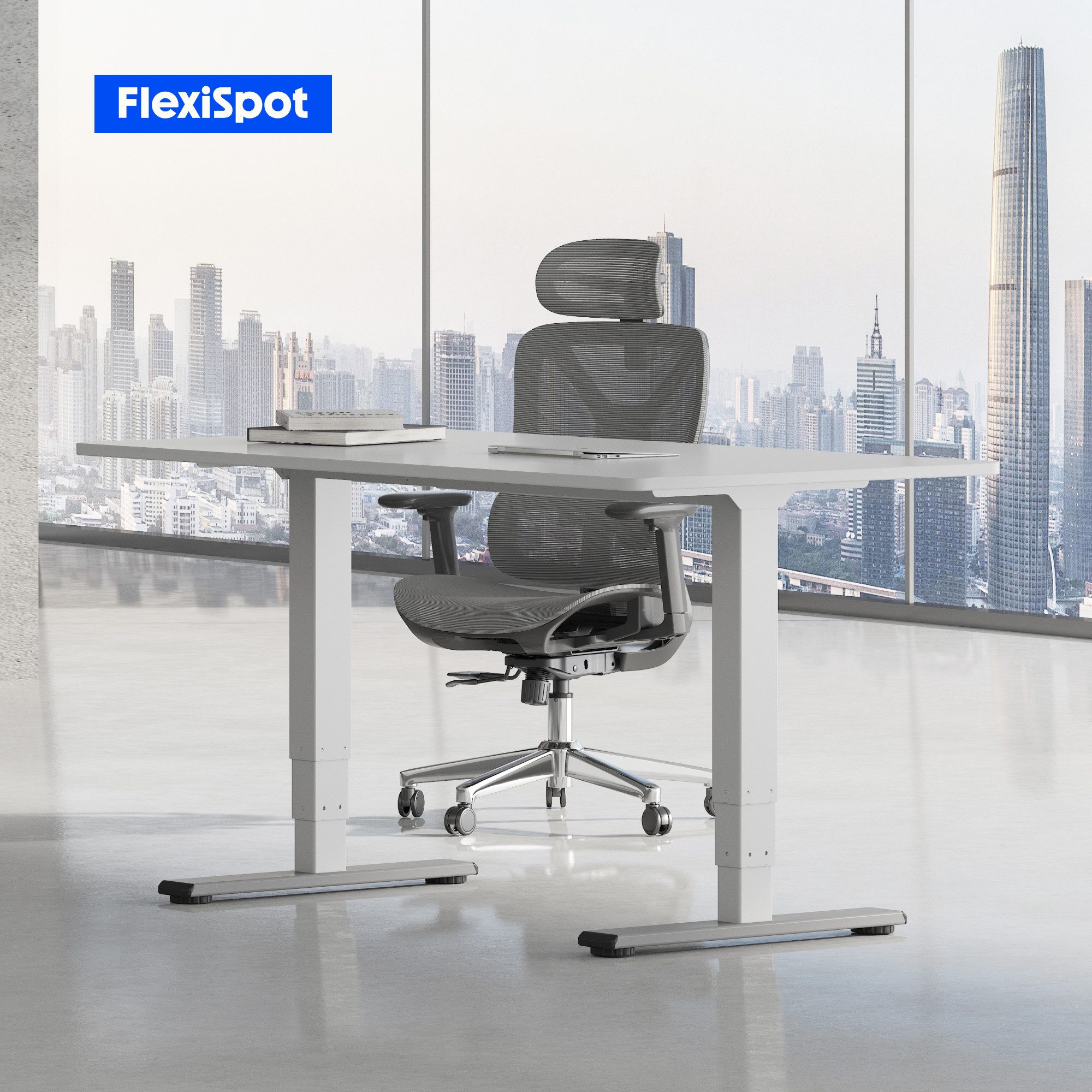 FLEXISPOT Schreibtisch Elektrisch Höhenverstellbarer Schreibtisch EC5 LITE günstig online kaufen