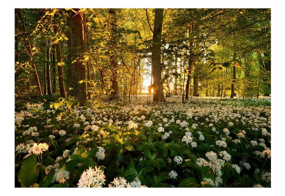 m, Tapete Vliestapete Forest halb-matt, KUNSTLOFT 1x0.7 flora lichtbeständige Design