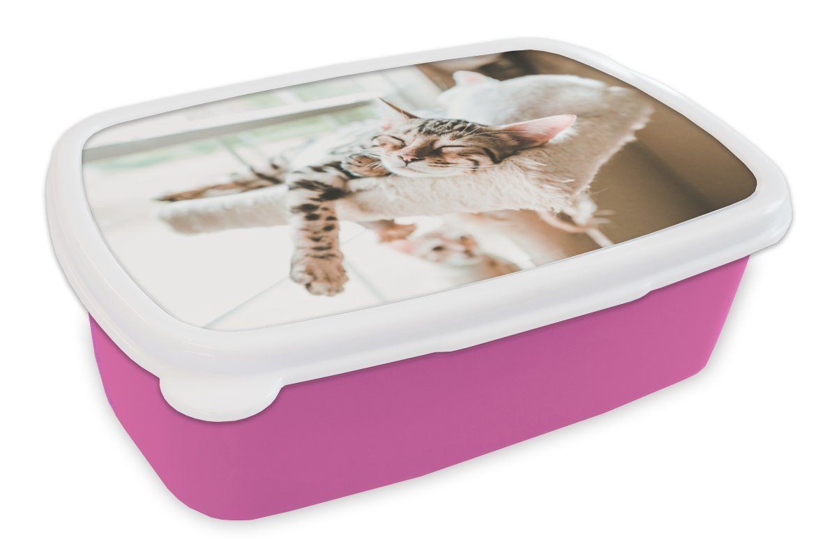 rosa für (2-tlg), auf MuchoWow Snackbox, Kunststoff Katzen Erwachsene, Kinder, Kratzbaum, Lunchbox einem Brotbox Mädchen, Schlafende Kunststoff, Brotdose