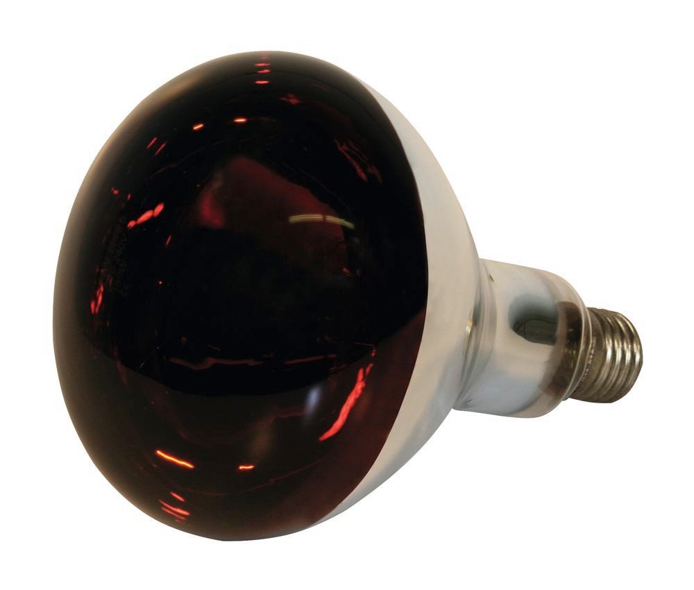 Kerbl Infrarotlampe