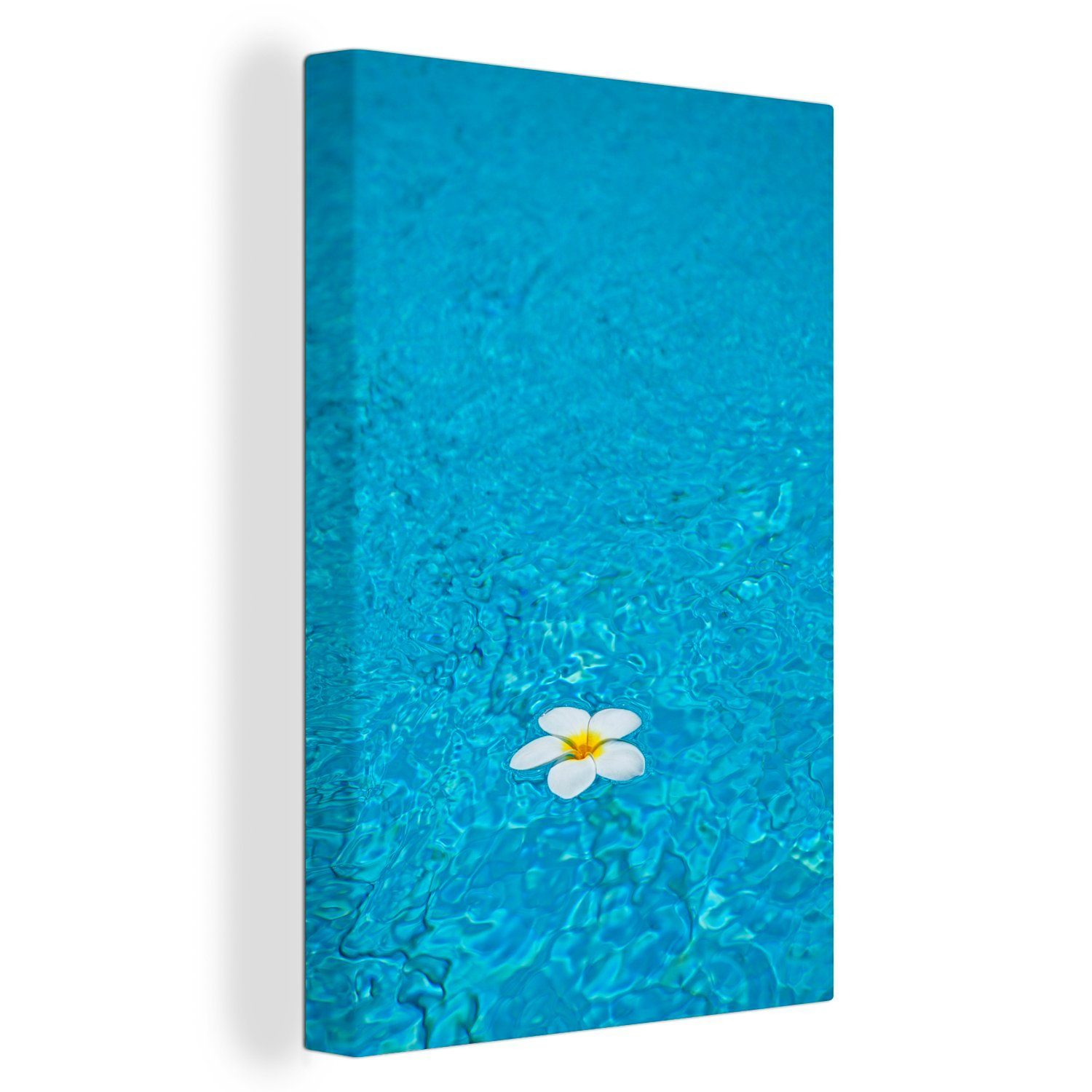 OneMillionCanvasses® Leinwandbild Plumeria-Blüte in einem hellblauen Pool, (1 St), Leinwandbild fertig bespannt inkl. Zackenaufhänger, Gemälde, 20x30 cm