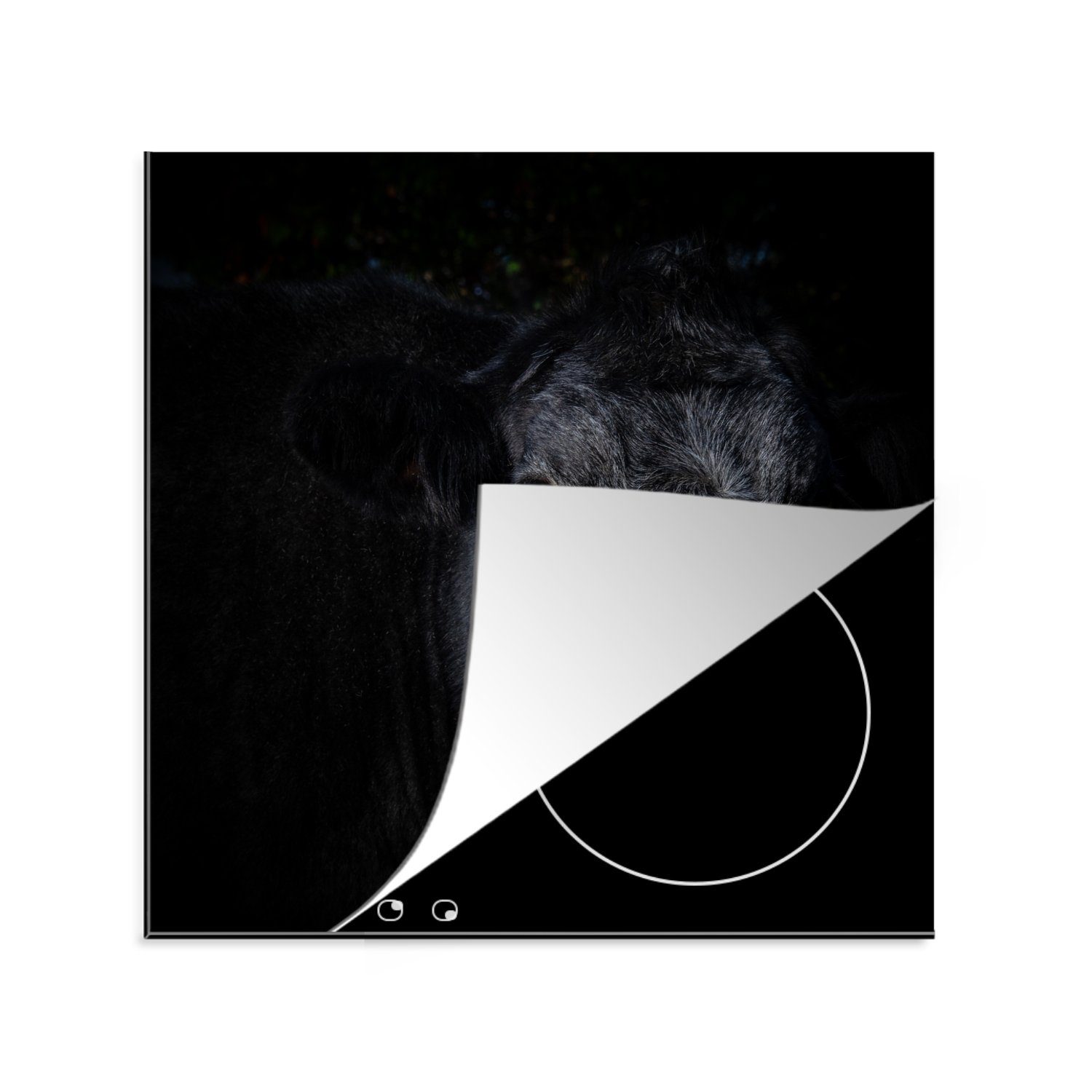 schwarzem für Vinyl, Arbeitsplatte Ceranfeldabdeckung, Hintergrund, Angus-Rindfleisch Herdblende-/Abdeckplatte MuchoWow tlg), küche 78x78 auf cm, (1