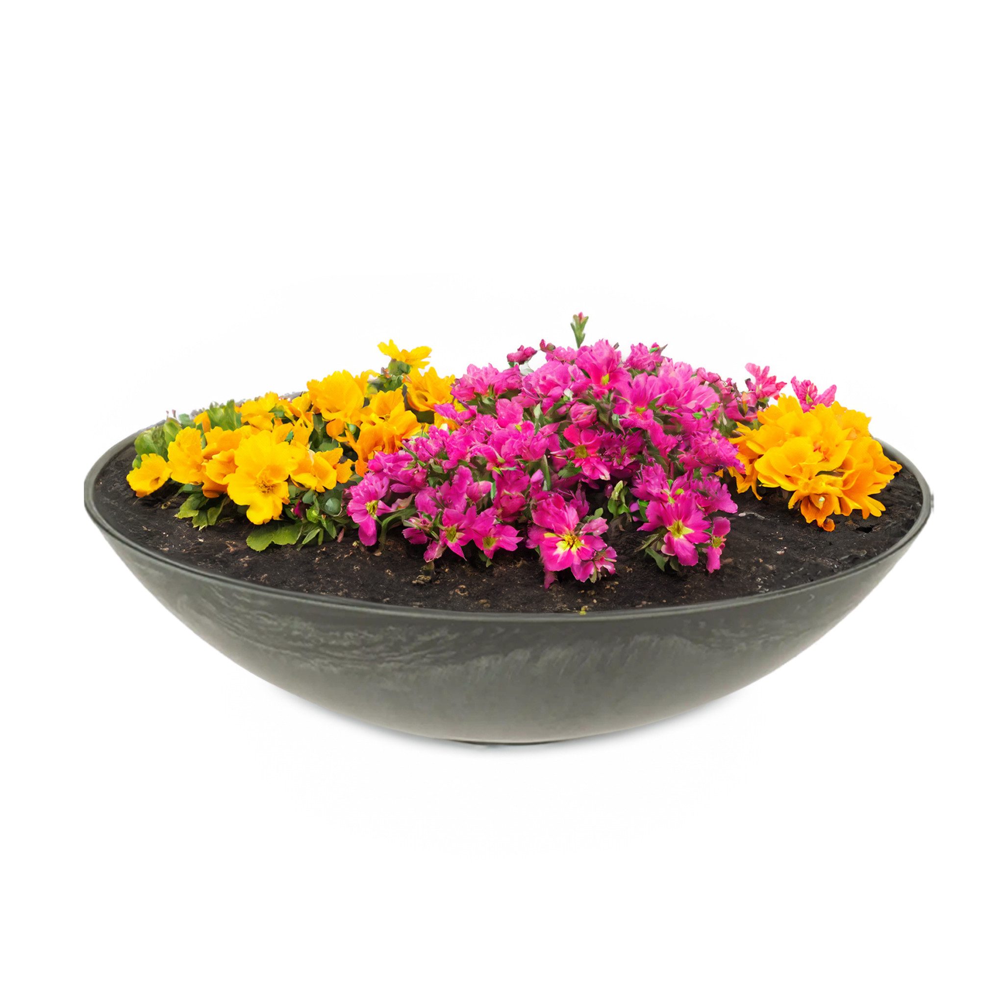 matches21 HOME & HOBBY Blumentopf Flache günstig online kaufen