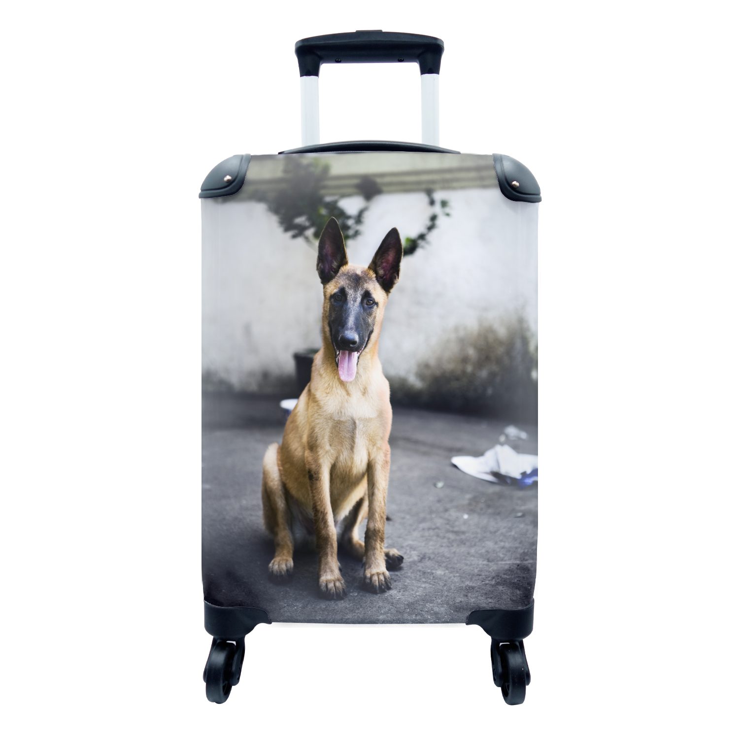 Ferien, für für liebenswerter 4 mit Rollen, Reisekoffer Malinois-Schäferhund Ein Trolley, Reisetasche rollen, posiert Handgepäckkoffer Kamera, MuchoWow Handgepäck die