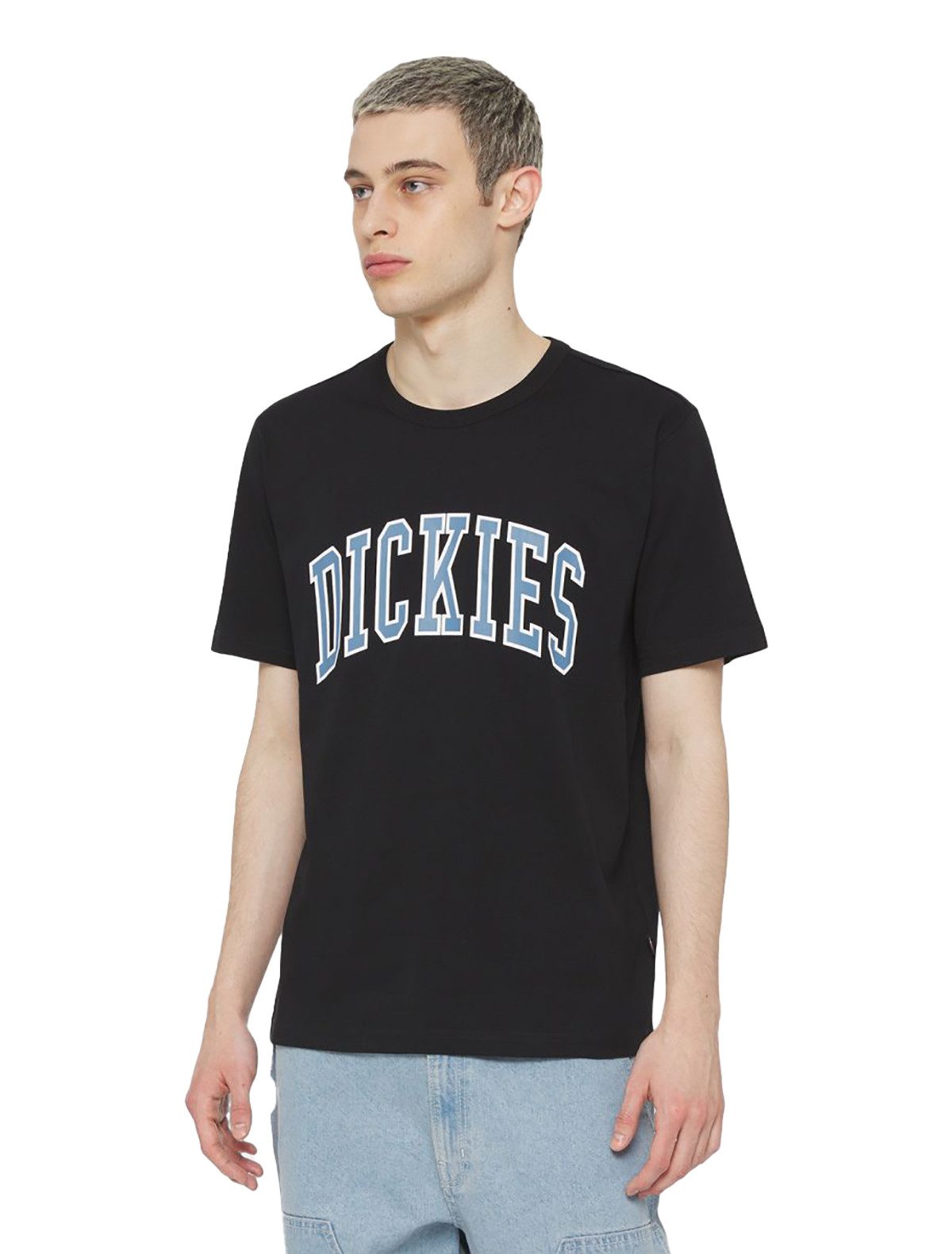 Dickies T-Shirt Aitkin (1-tlg., kein Set)