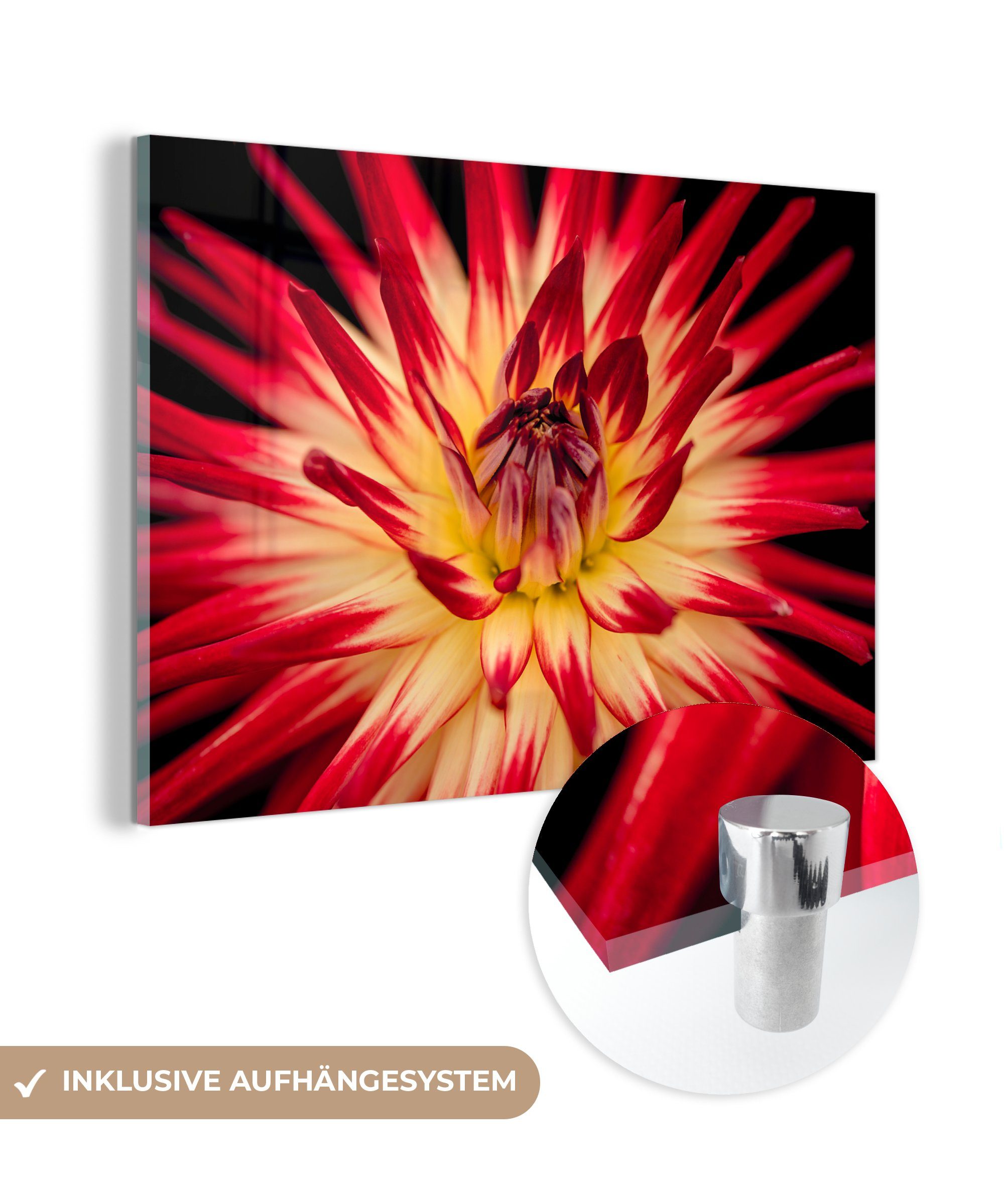 MuchoWow Acrylglasbild Blumen - Natur - Makro, (1 St), Acrylglasbilder Wohnzimmer & Schlafzimmer
