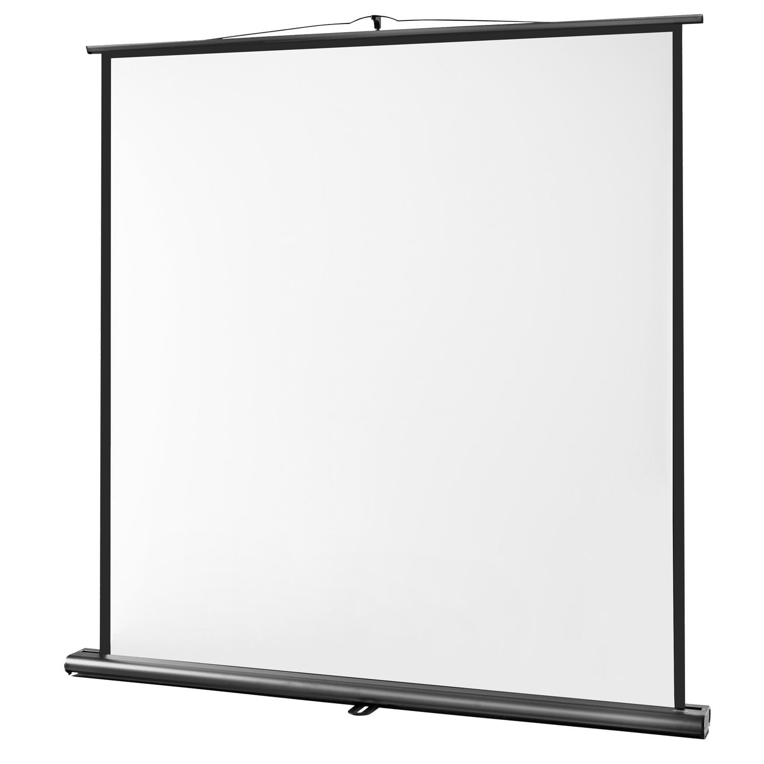 Celexon Professional Pull-Up-Leinwand (schwarze Rückseite)