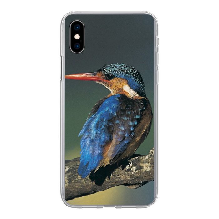 MuchoWow Handyhülle Eisvogel - Tier - Farbenfroh Handyhülle Apple iPhone Xs Max Smartphone-Bumper Print Handy