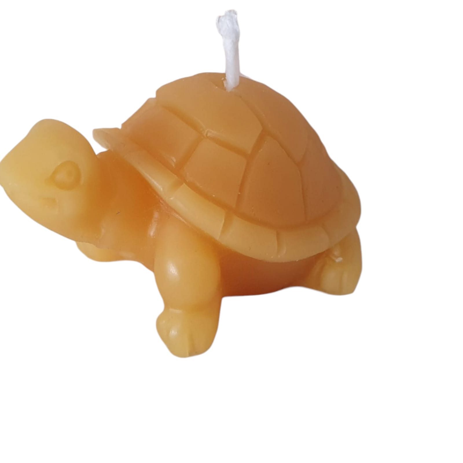 Aspinaworld Bienenwachskerze Schildkröten Kerze 2 cm – Kerze aus Bienenwachs