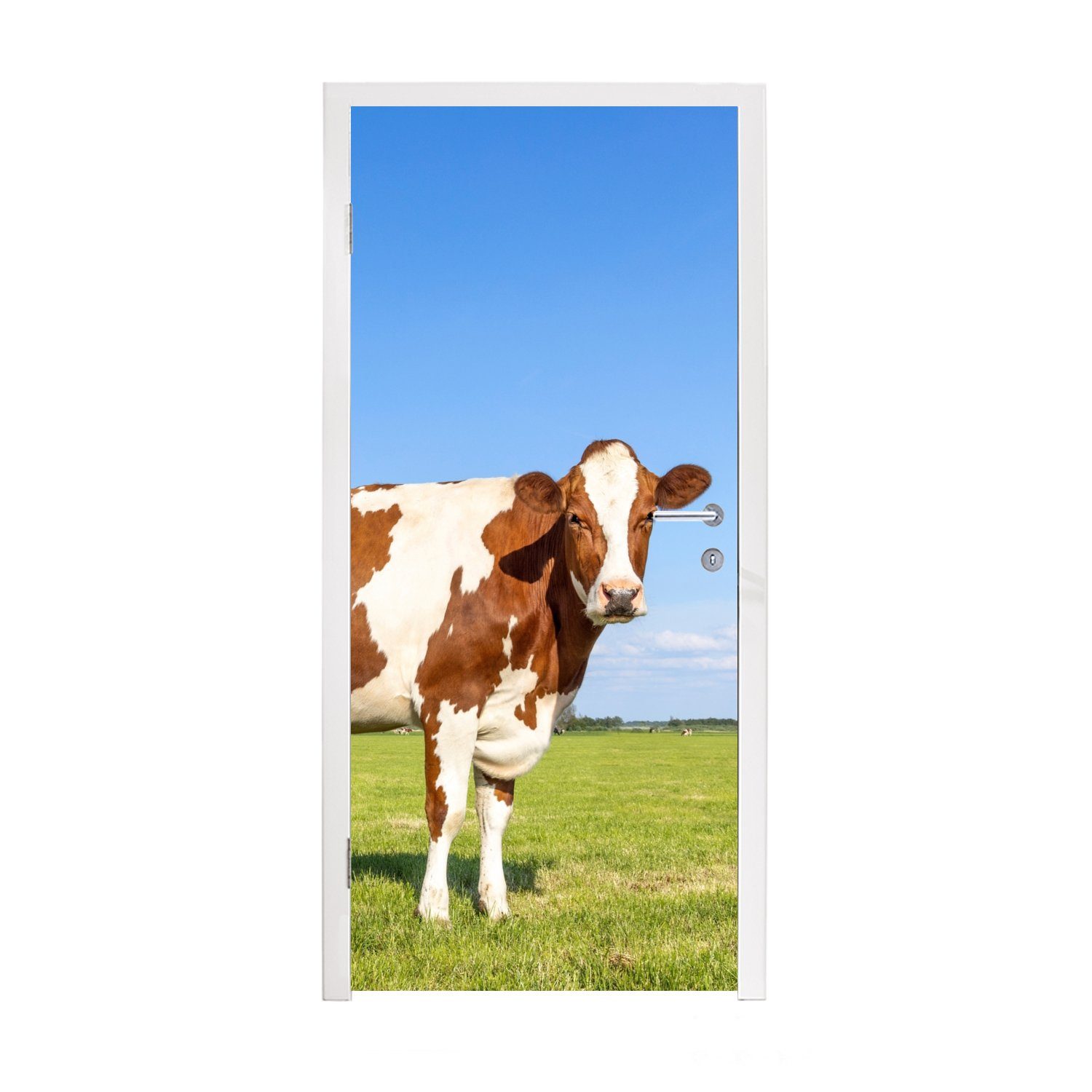 MuchoWow Türtapete Kühe - Bauernhof - Gras - Natur - Tiere, Matt, bedruckt, (1 St), Fototapete für Tür, Türaufkleber, 75x205 cm