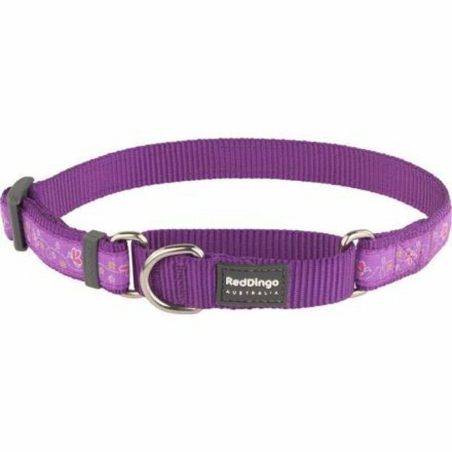 Red Dingo Hunde-Halsband “Ob. polos. RD 15 mm x 26-40 cm – Schmetterling Violett”, Nylon