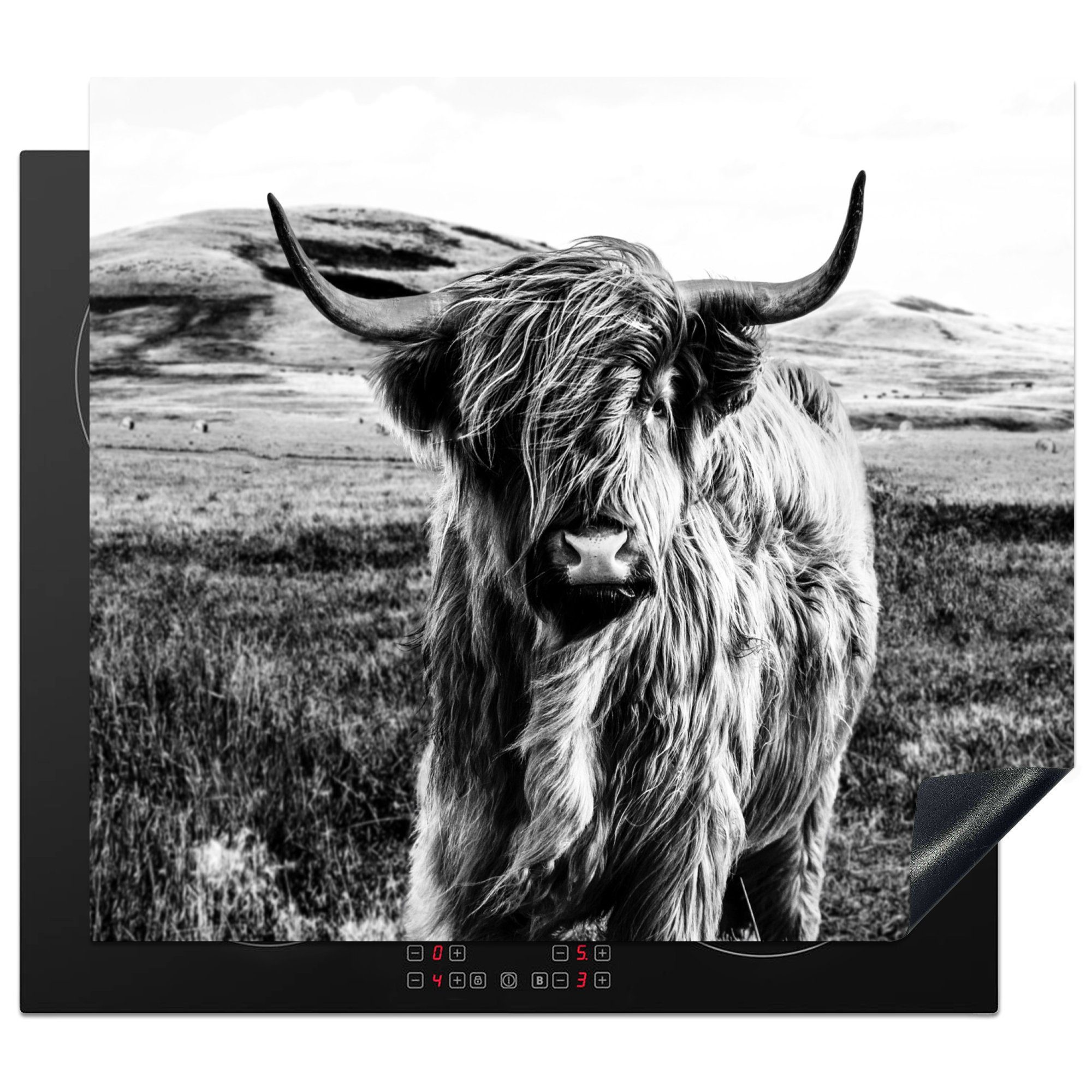 MuchoWow Herdblende-/Abdeckplatte Schwarz - Weiß - Schottischer Highlander - Gras, Vinyl, (1 tlg), 59x51 cm, Induktionsschutz, Induktionskochfeld, Ceranfeldabdeckung