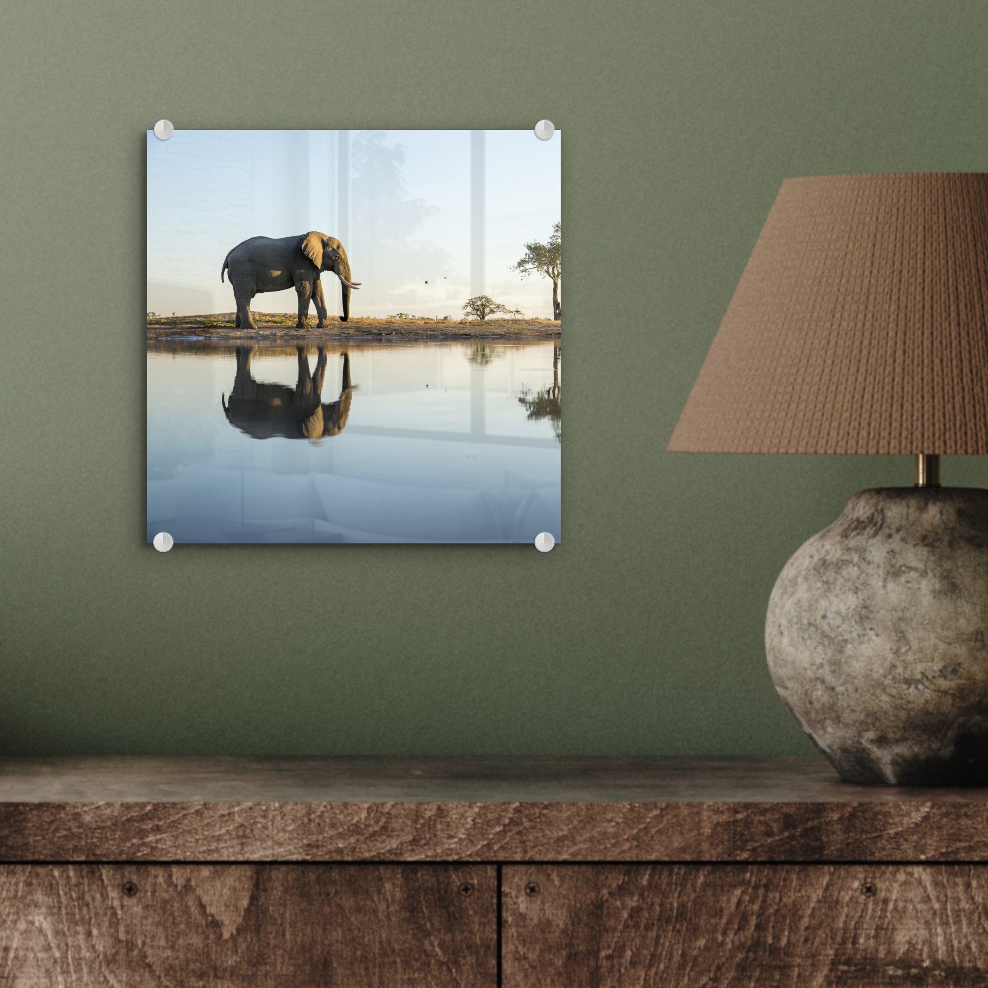 Acrylglasbild Wandbild - Glas Foto - (1 Wanddekoration St), auf - auf Glas - Tiere Wasser Glasbilder - Bilder - MuchoWow Elefant - Natur, Bäume