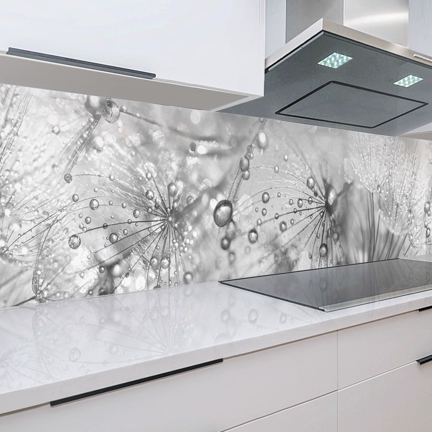 Rodnik Küchenrückwand Pusteblumen, ABS-Kunststoff Platte Qualität in mit Direktdruck DELUXE Monolith