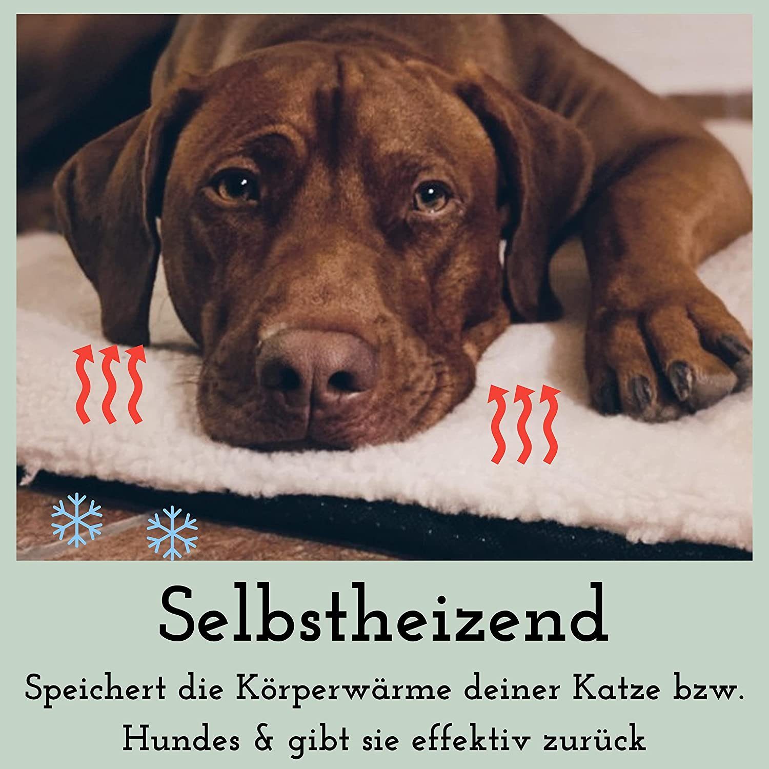 riijk Tierdecke Heizdecke, Plüsch, selbstheizende Hundedecke günstig online kaufen