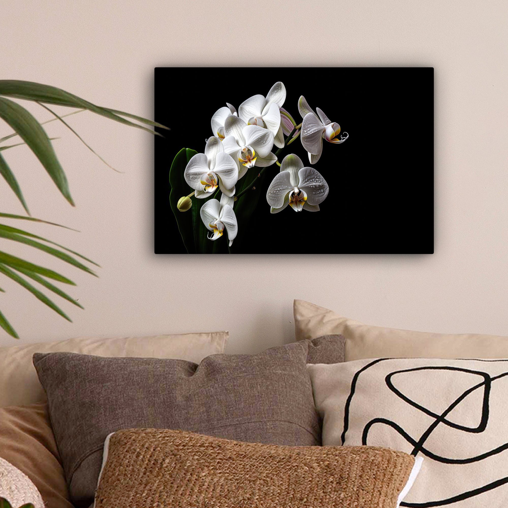 OneMillionCanvasses® Leinwandbild Orchidee - Blumen - Weiß - Natur - Schwar günstig online kaufen