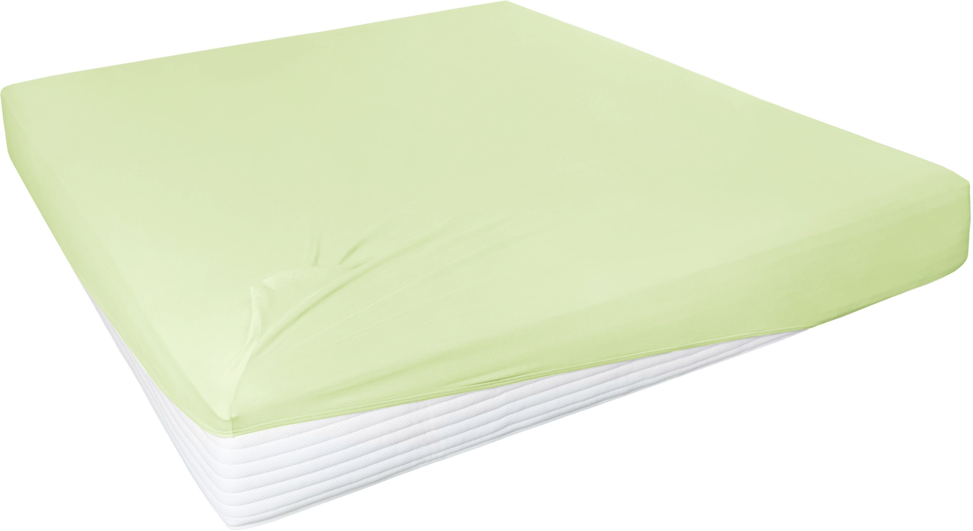 Primera Spannbettlaken "Elasthan-Feinjersey" PREMIUM, aus 95% gekämmter Bau günstig online kaufen