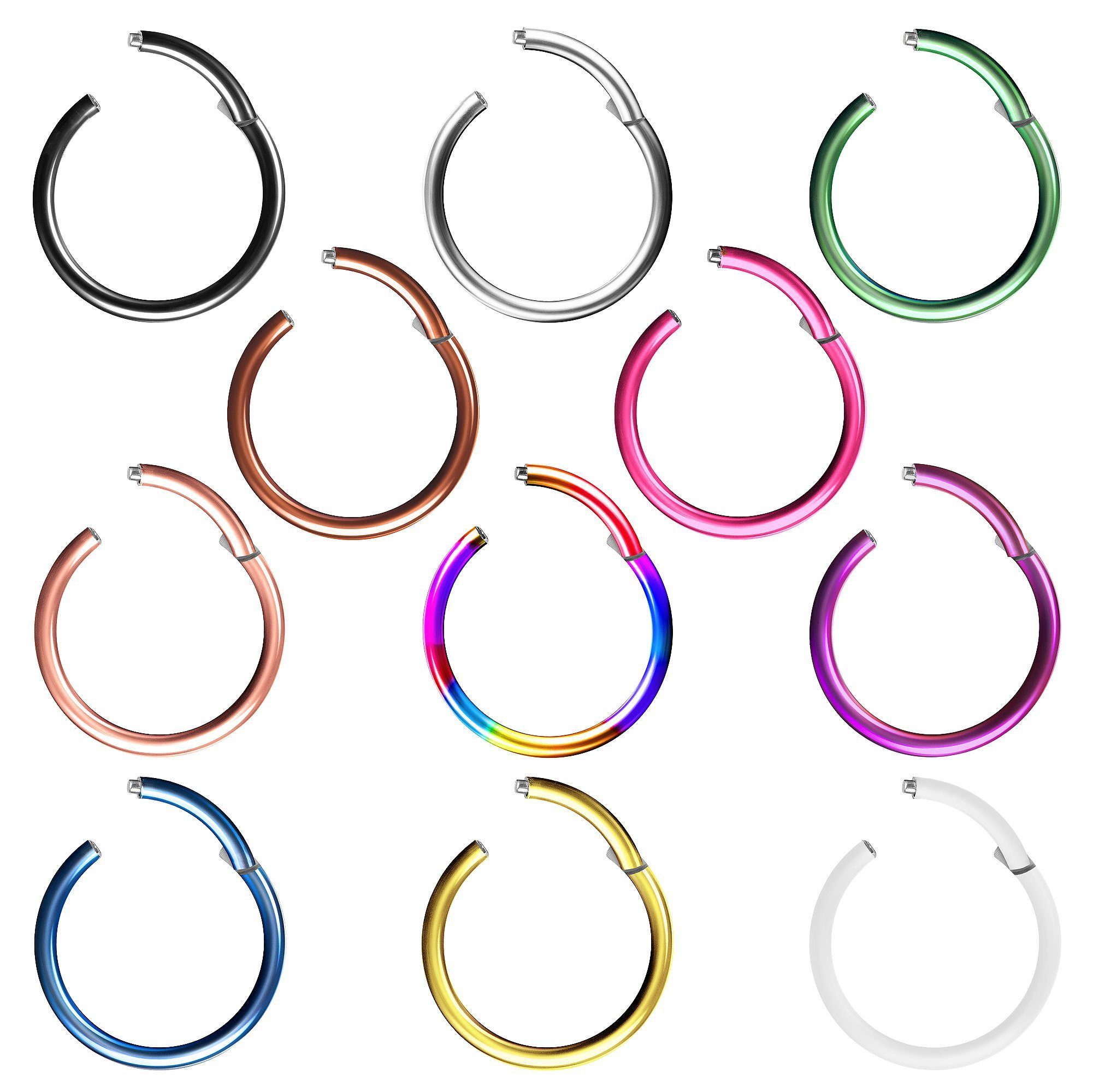 Taffstyle Nasenpiercing Clicker Ohr Universal Piercing Titan G23 oder Chirurgenstahl (Vielseitiger Segmentring aus Titan oder Chirurgenstahl in vielen Farben und Größen), Scharnier Klicker für Septum Ohr Nase Lippe