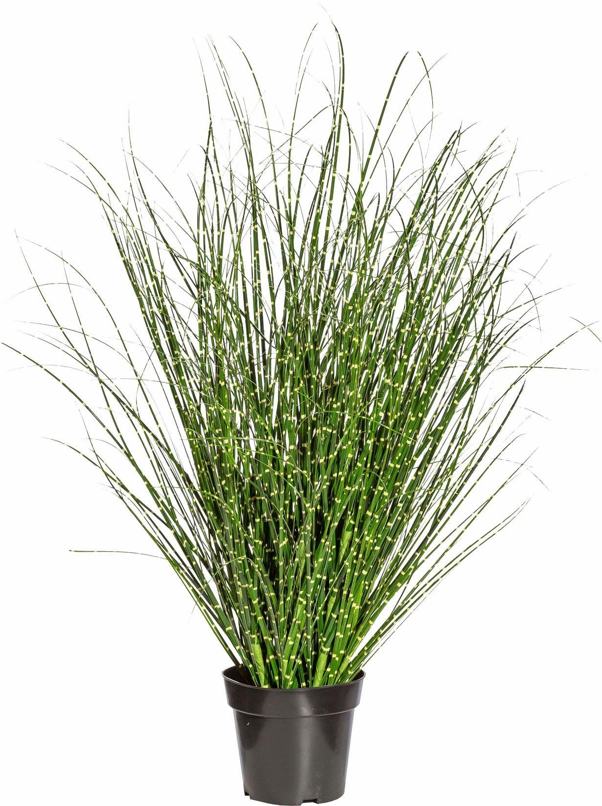 Kunstgras Miscanthus Zebrinus, Creativ green, Höhe 110 cm günstig online kaufen