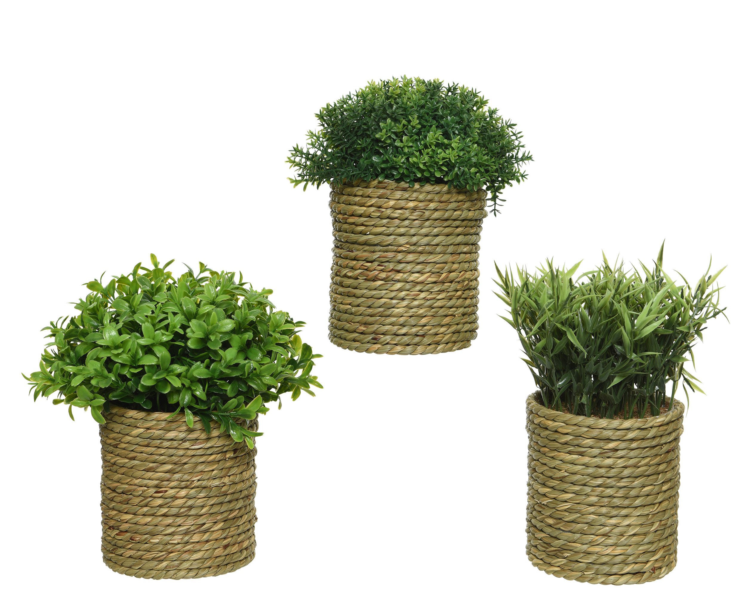 Kunstpflanze, Kaemingk, Kunstpflanze im geflochtenen Topf 22 cm, 1 Stück sortiert. € 12,99, (€ 12,99 pro 1 Stk).
