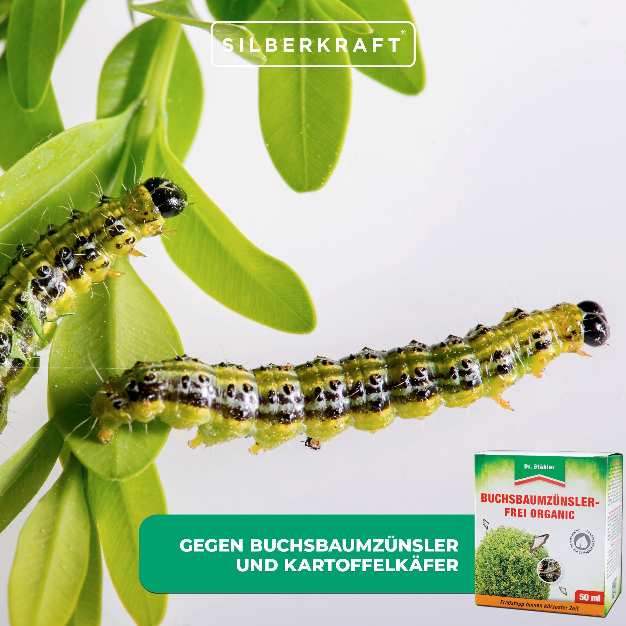 Dr. Stähler Pflanzendünger Buchsbaumzünsler-Frei Organic, Flüssigkonzentrat gegen Fraßschäden, Stoppt Fraß- und Saugaktivitäten, Gegen Buchsbaumzünsler und Kartoffelkäfer, 1-St., Effektive Anwendung gegen Buchsbaumzünsler & Co, Einfache Anwendung, Buchsbaum, Kartoffel & mehr, Fraß- und Saugstopp, Einfache Anwendung
