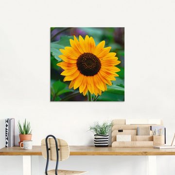 Artland Glasbild Sonnenblume, Blumen (1 St), in verschiedenen Größen