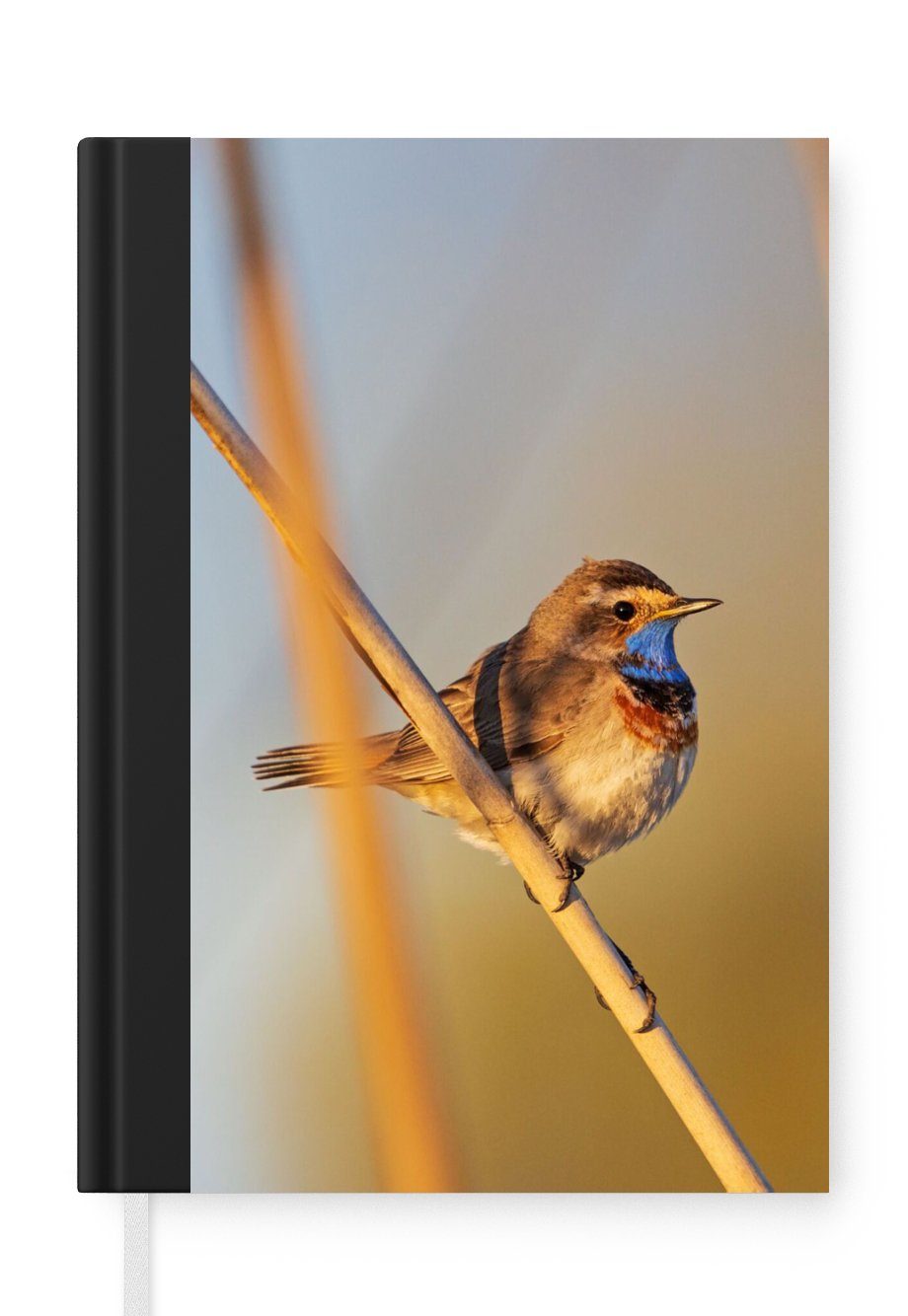 MuchoWow Notizbuch Vögel - Blaukehlchen - Schilf, Notebook, Notizblock a5, Tagebuch, Journal Liniert