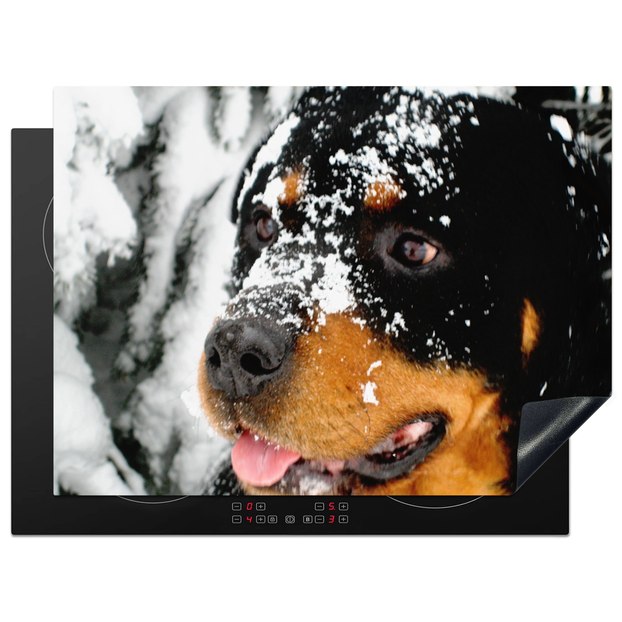 MuchoWow Herdblende-/Abdeckplatte Schöner Rottweiler im Schnee, Vinyl, (1 tlg), 70x52 cm, Mobile Arbeitsfläche nutzbar, Ceranfeldabdeckung
