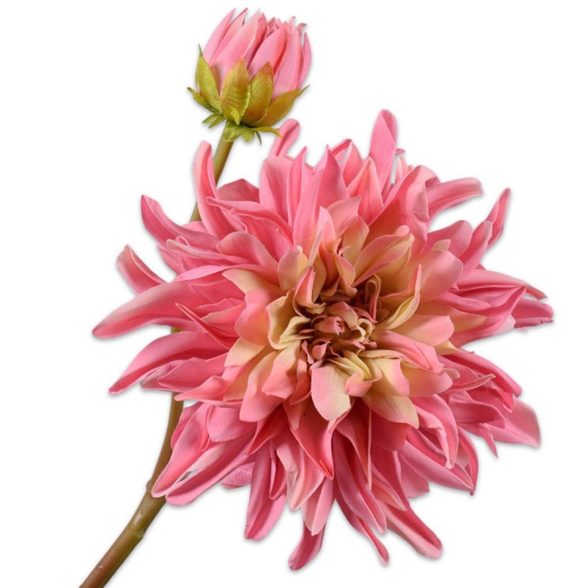 Künstliche Zimmerpflanze Seidenblume Dahlie Rosa (81cm), SILK-KA