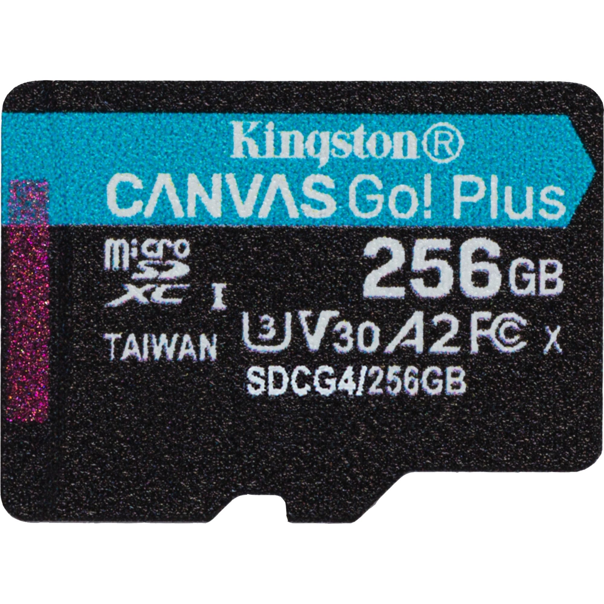 Kingston Kingston Canvas Go! Plus 256 GB microSDXC, externer Speicher (256 GB GB)
