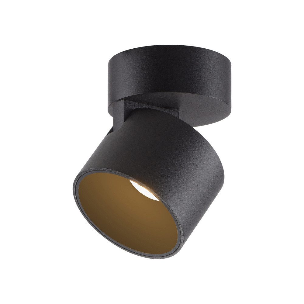 Paul Neuhaus LED Deckenspot LED Deckenlampe Spot PURE CUP, Verstellbarer Spot, 1xLED/13Watt, warmweiß, Spotköpfe schwenkbar schwenkbar dimmbar