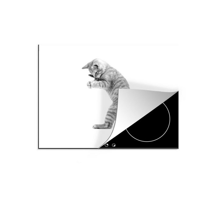 MuchoWow Herdblende-/Abdeckplatte Kätzchen mit Spielzeug - schwarz und weiß Vinyl (1 tlg) Mobile Arbeitsfläche nutzbar Ceranfeldabdeckung