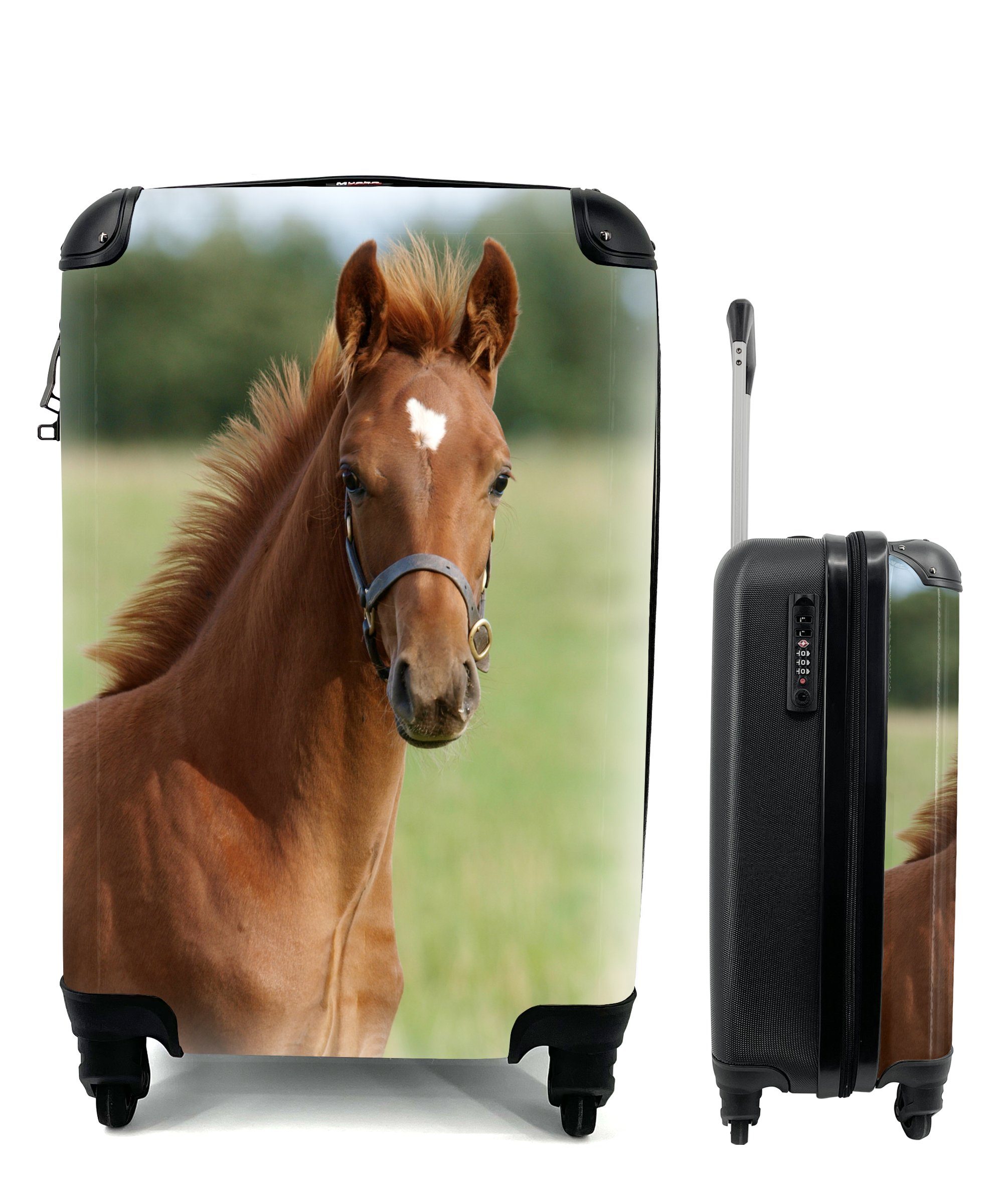 MuchoWow Handgepäckkoffer Pferd - Tier - Gras, 4 Rollen, Reisetasche mit rollen, Handgepäck für Ferien, Trolley, Reisekoffer