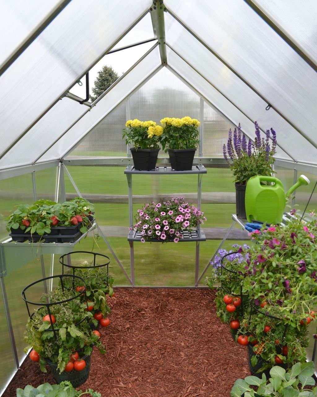 Trend Line Gewächshaus TrendLine Gewäc...