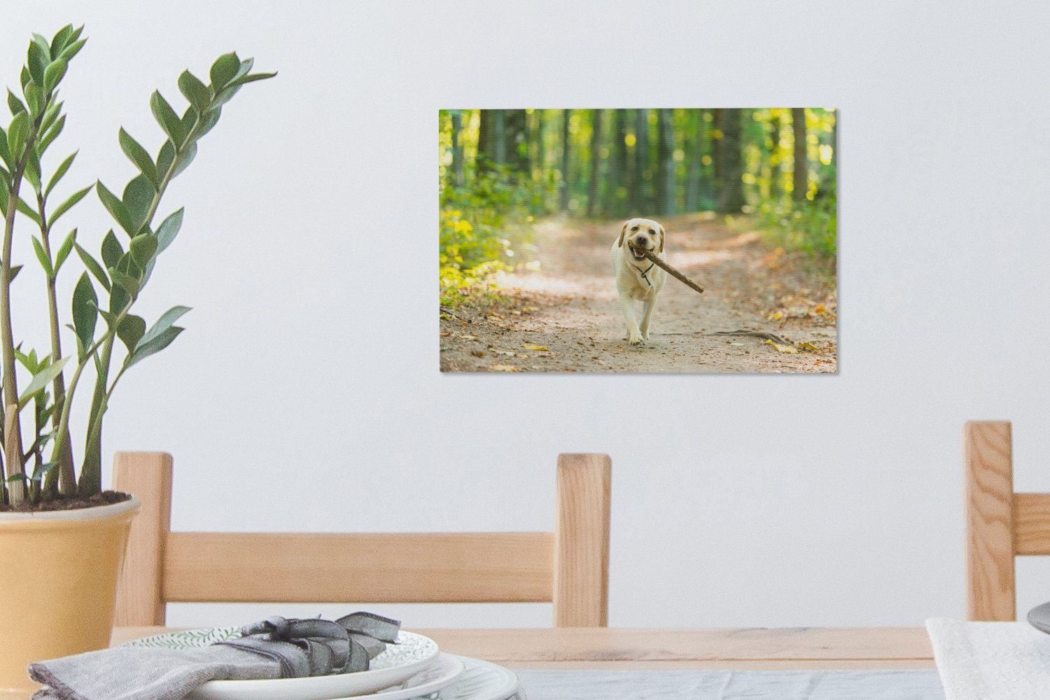 OneMillionCanvasses® Leinwandbild Wald Aufhängefertig, St), Wandbild Bäume, (1 Wanddeko, 30x20 - Leinwandbilder, - Hund cm