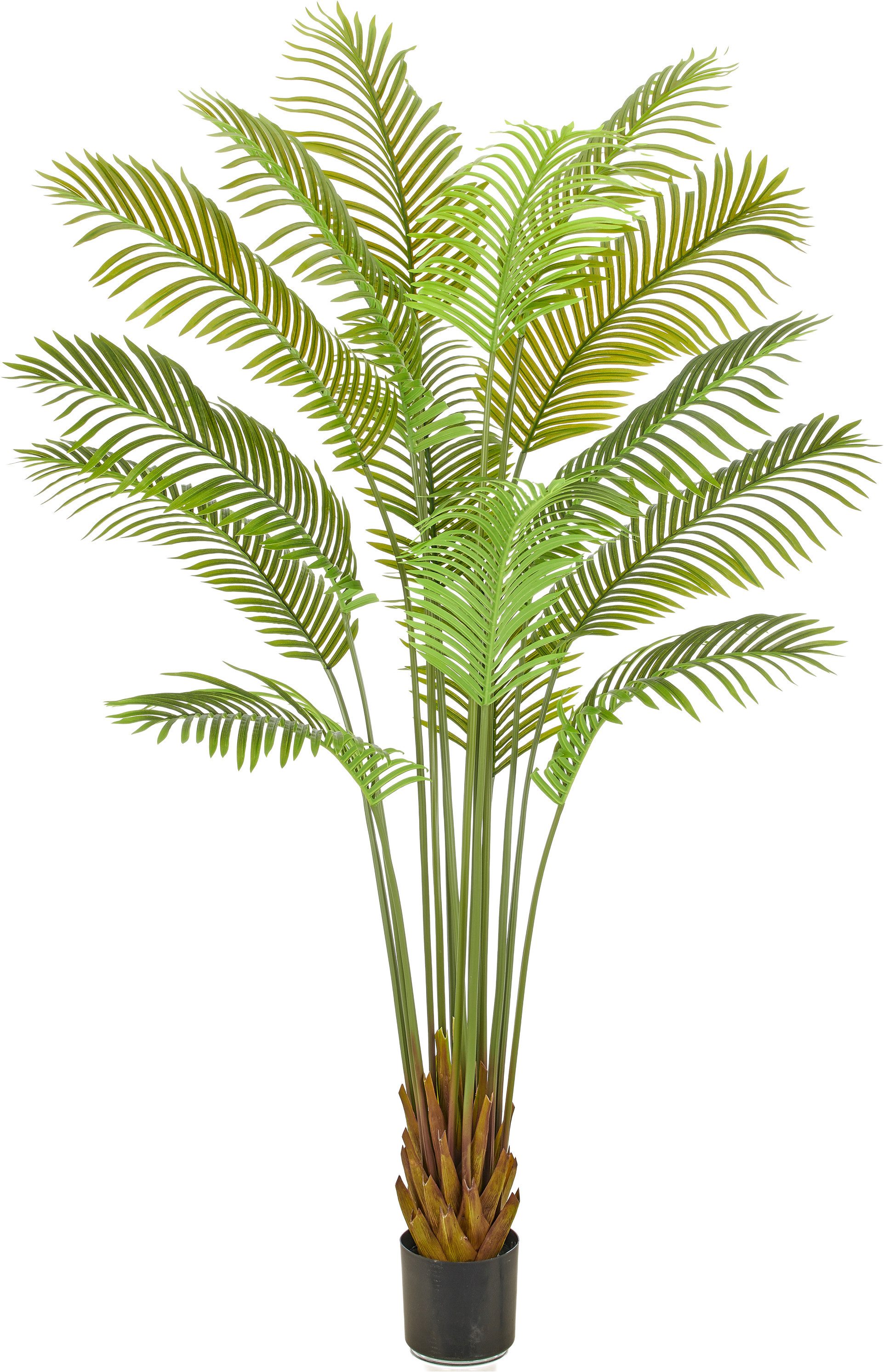 Kunstpalme Arecapalme, Creativ green, Höhe 200 cm, mit naturgetreuen Palmwedeln