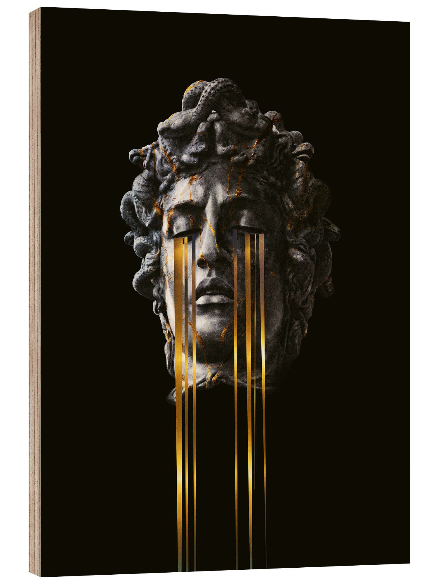 Posterlounge Acrylglasbild Medusa Von Frank Moth – 70x90 Cm, Hochglanz, Inkl. Aufhängung